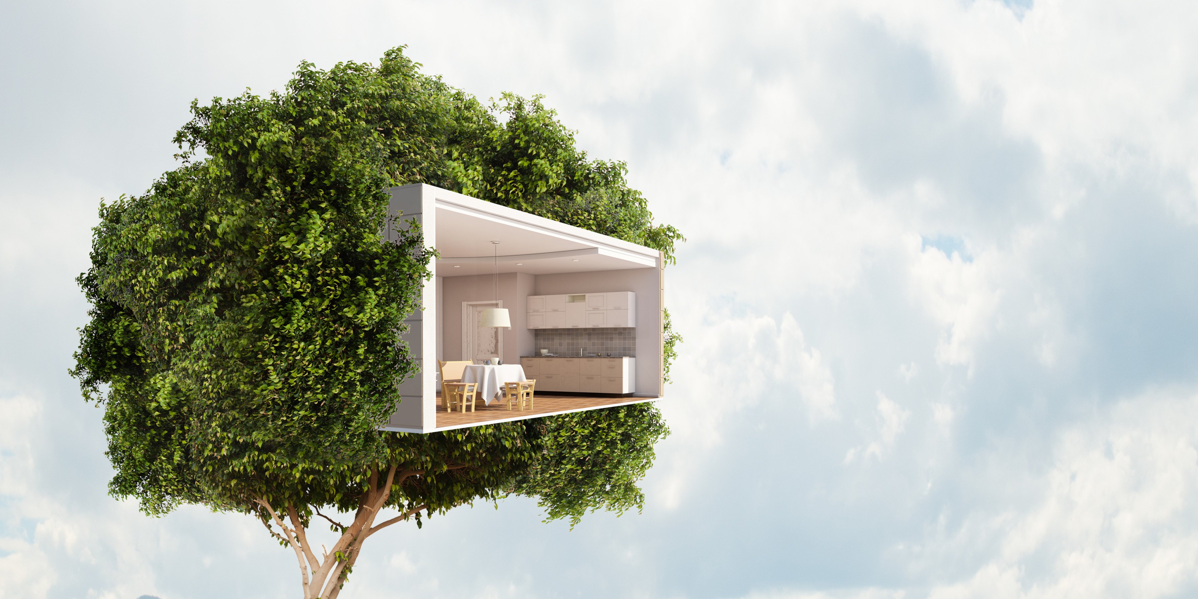 There are a few things you can do to make your home more eco-friendly. Photo: Shutterstock
