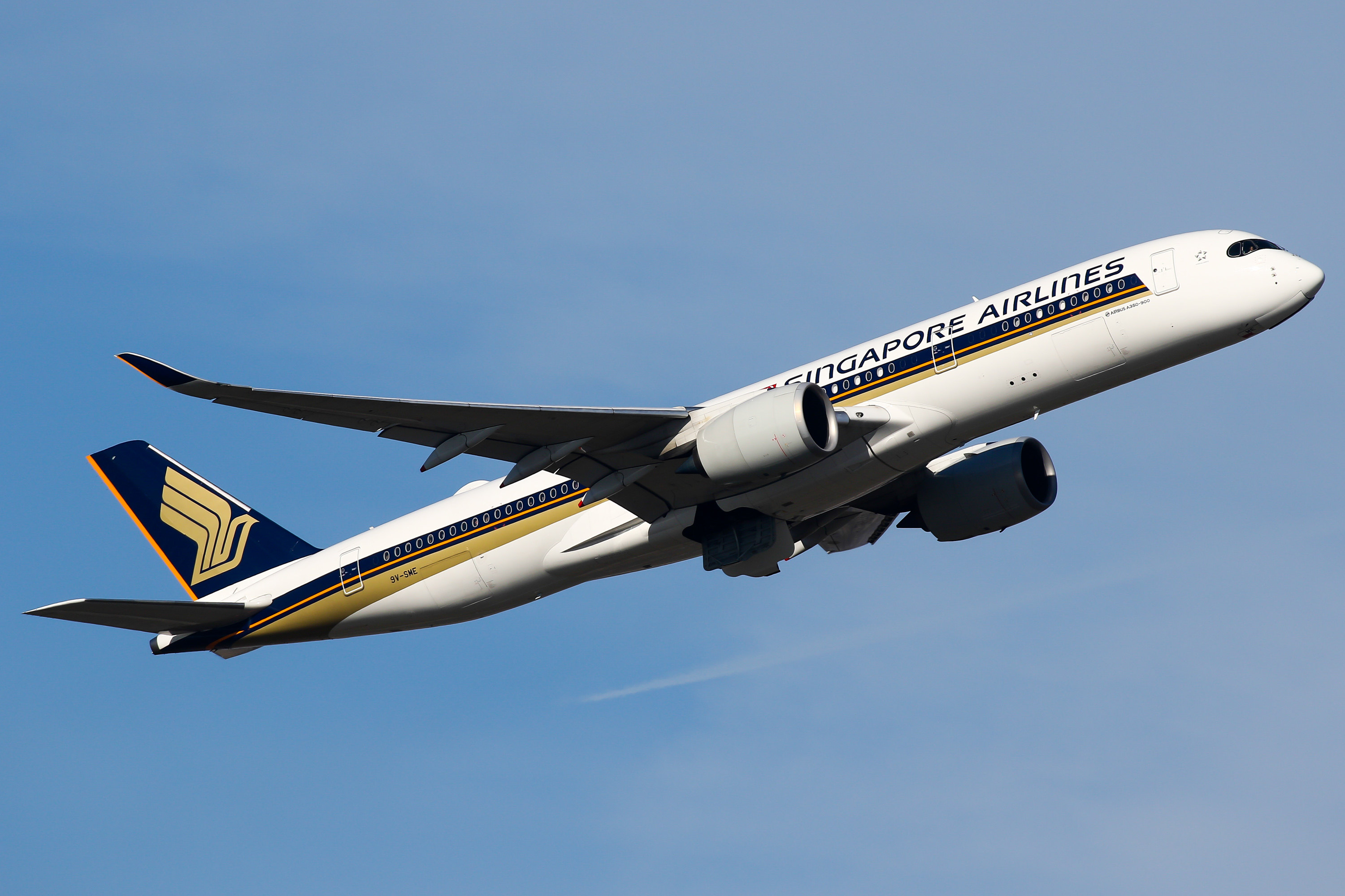 Singapore Airlines is being sued by a former flight attendant over unsafe work conditions. Photo: Getty Images