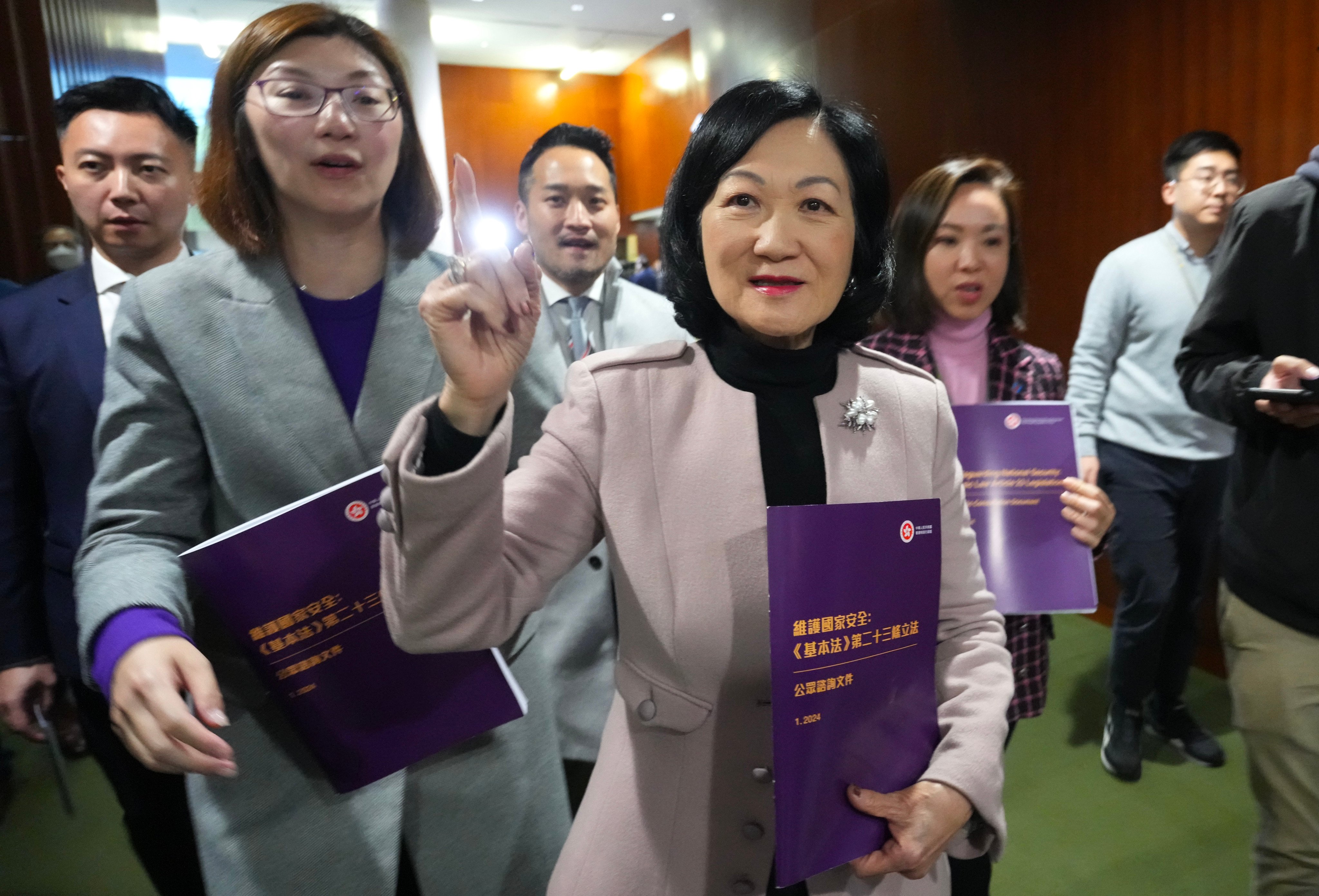 Top government adviser Regina Ip (centre) says foreign countries have a wrong impression that “one country, two systems” will disappear once the law is passed. Photo: Sam Tsang