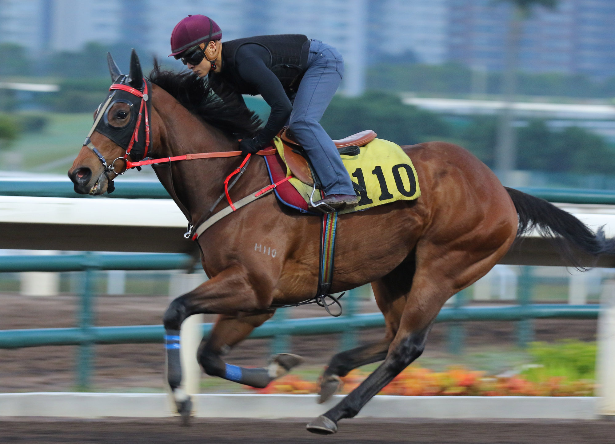Find My Love gallops on the all-weather track at Sha Tin.