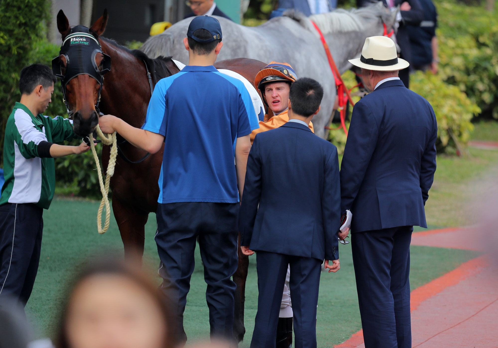 Jockey Zac Purton and trainer David Hayes (right) debrief after Global Harmony refuses to leave the gates. Photo: Kenneth Chan