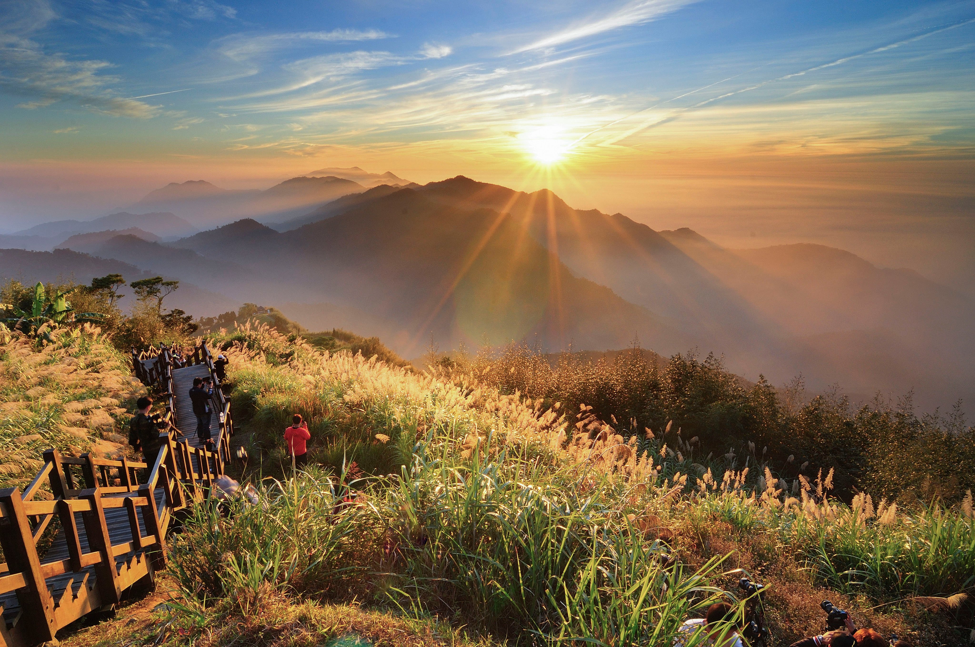 A popular tourist destination in central Taiwan, Alishan (above) has forests, mountains, and tea and coffee plantations. Photo: Getty Images