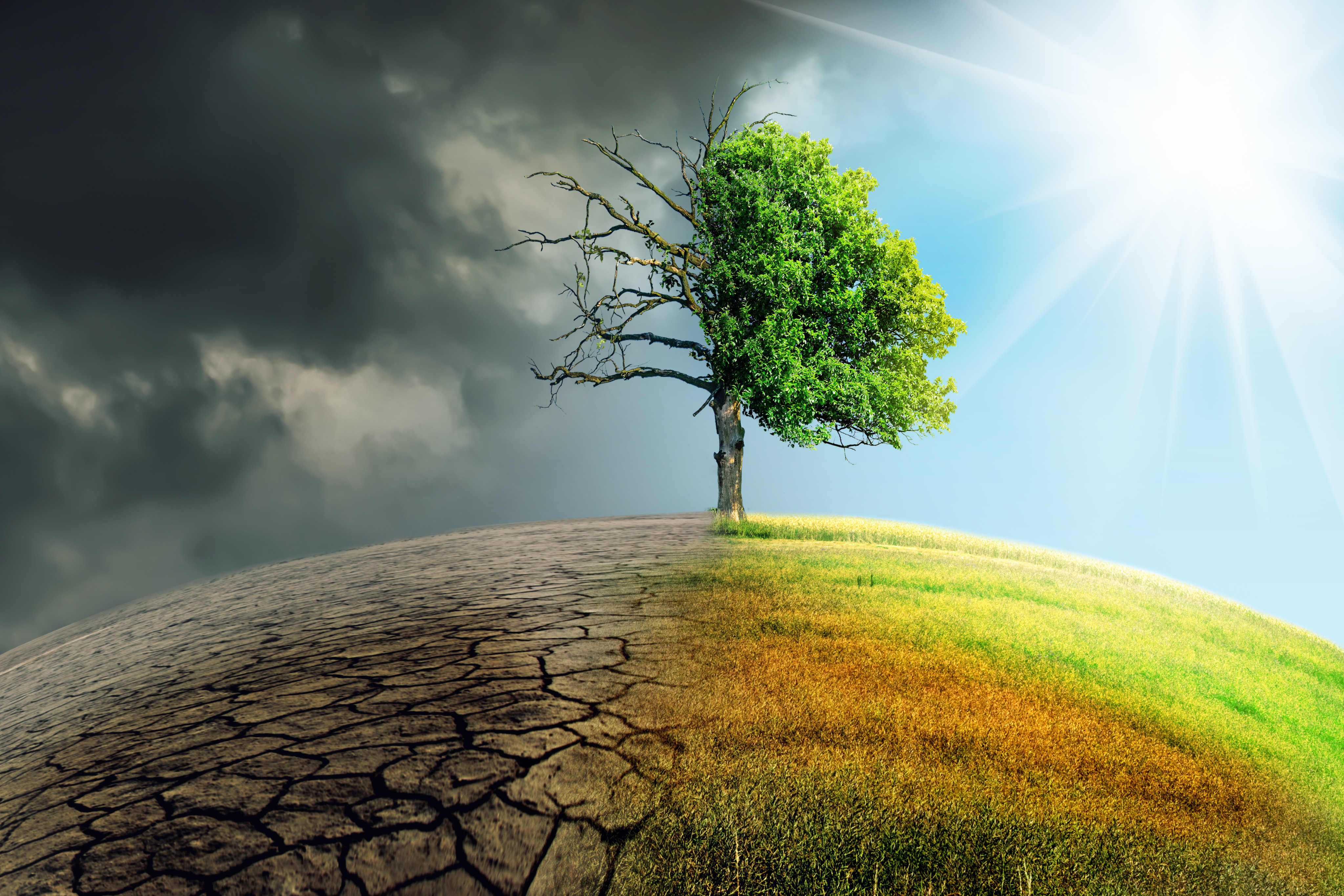 Climate change is hurting the mental health of many people across the world. Photo: Shutterstock 