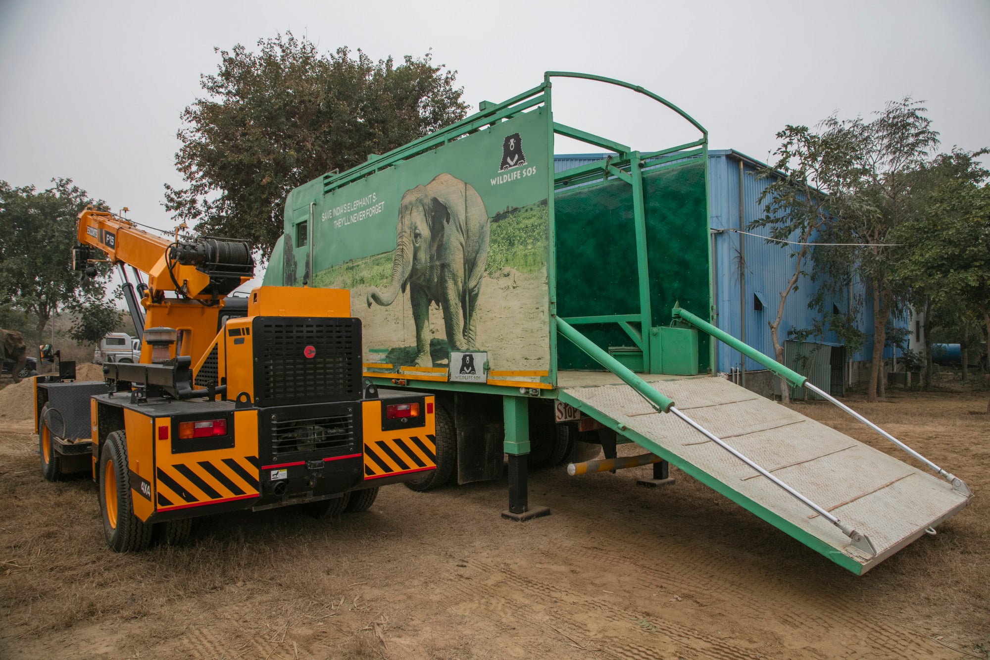 Indian elephant hospital and conservation centre that provides ...