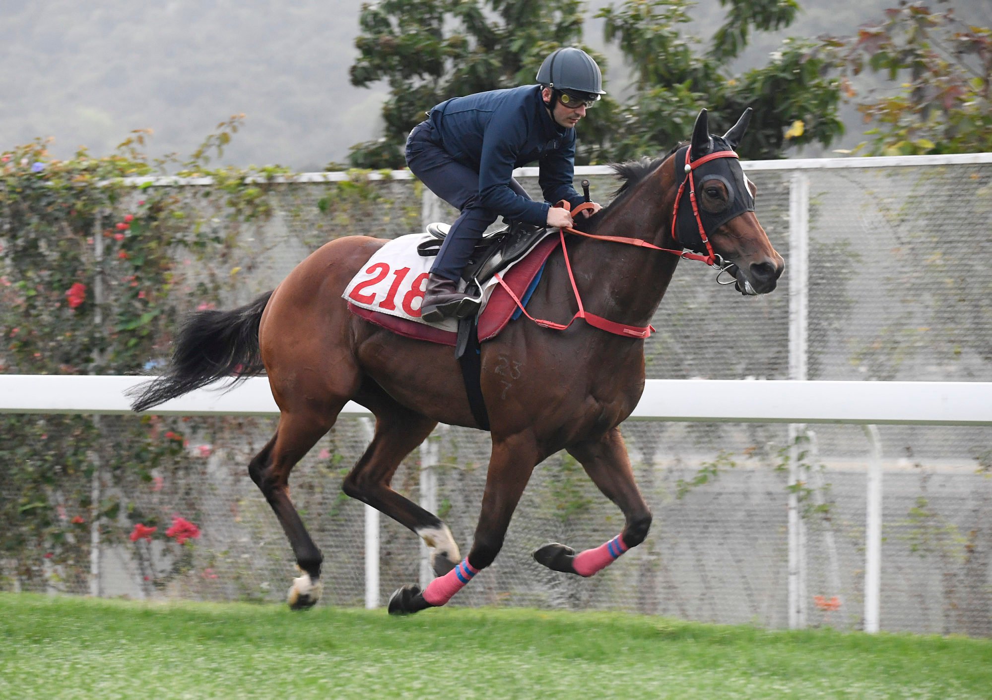 Jockey Andrea Atzeni puts Copartner Ambition through his paces at Sha Tin.