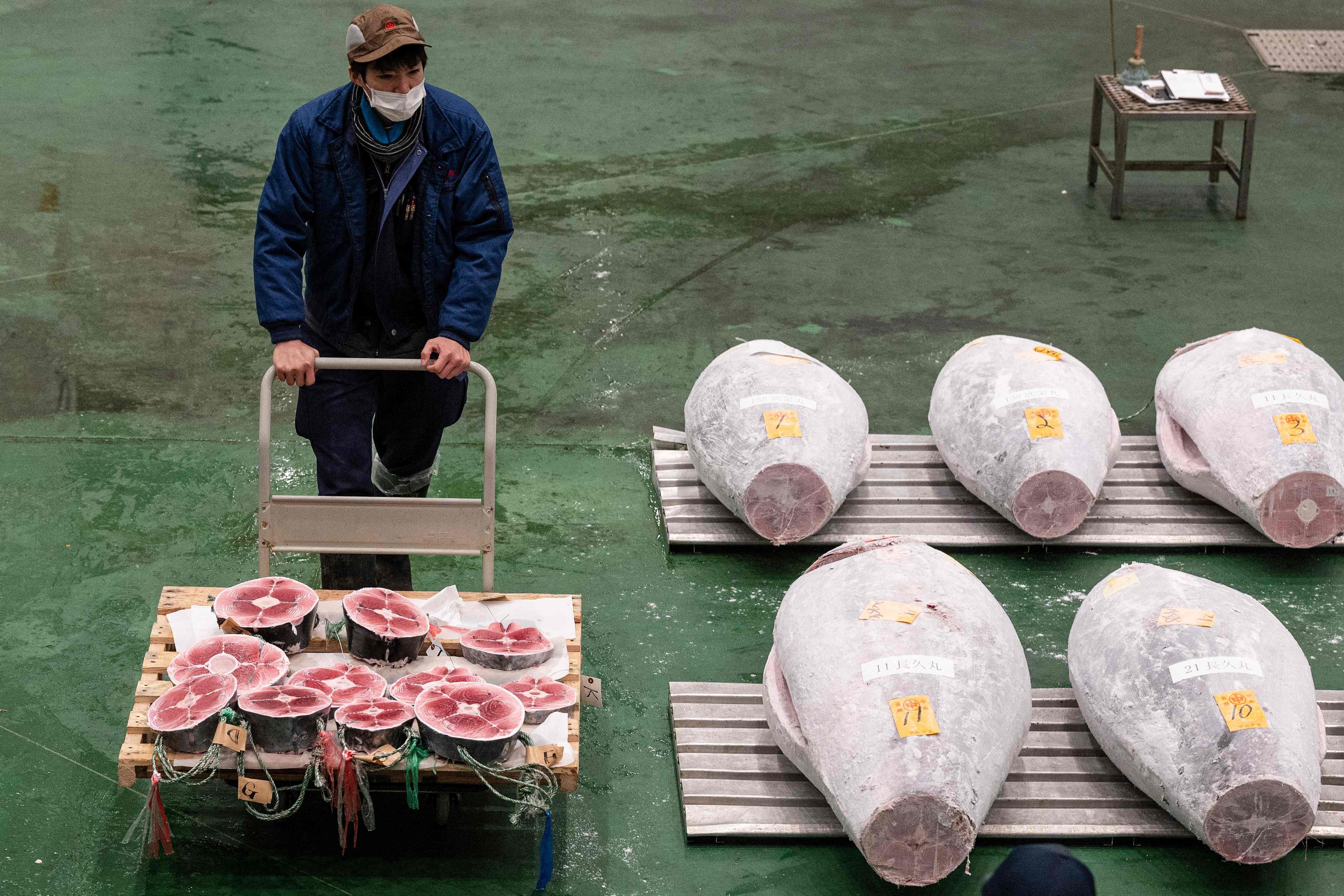 A worker pushes a cart of tuna as wholesale sellers and buyers attend the first tuna auction of the New Year at Toyosu fish market in Tokyo on January 5, 2023. Photo: AFP