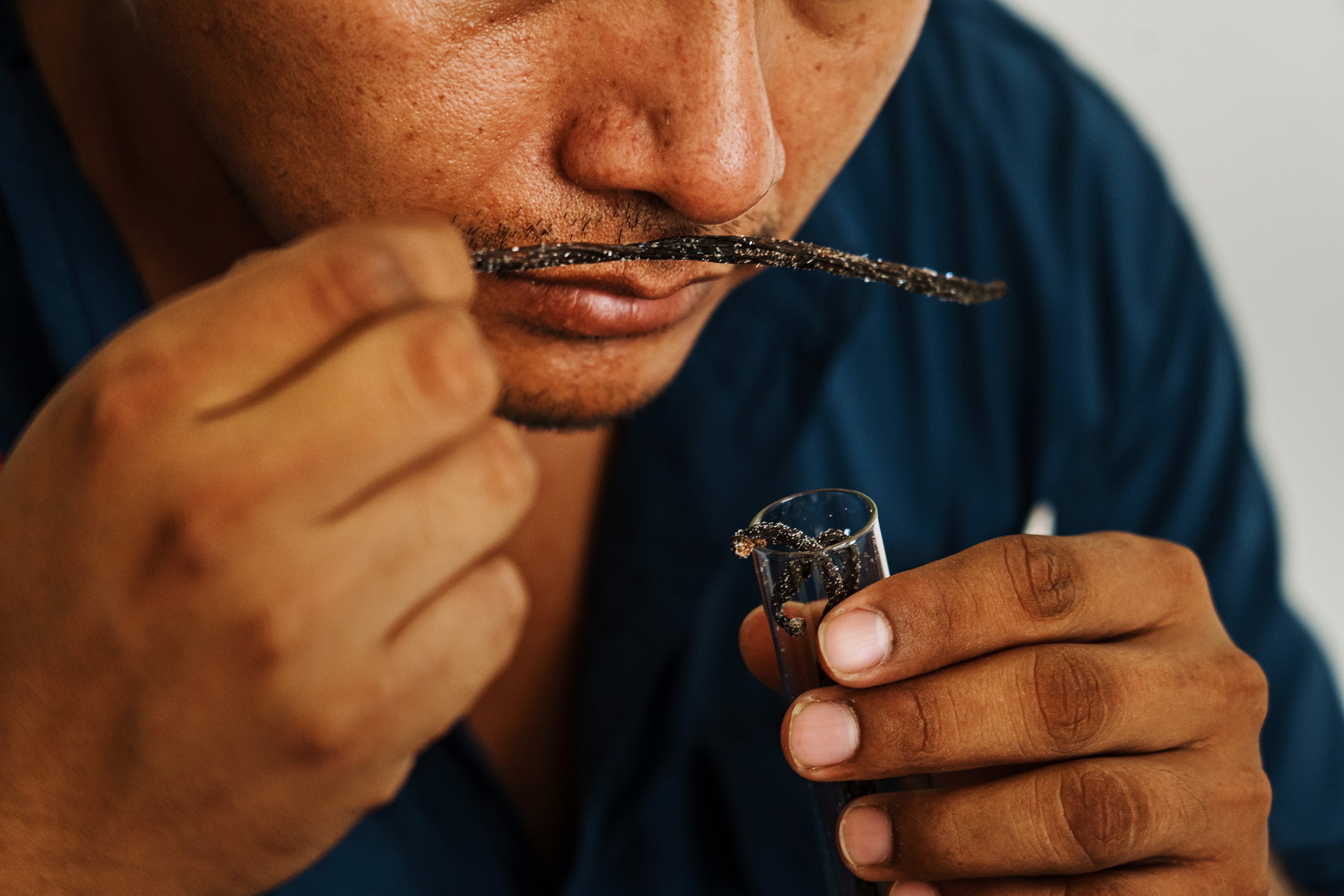 Eduardo Tepoxteco smells the different vanilla strains grown inside a laboratory in Papantla, Mexico. Those tied to Mexico’s vanilla industry are working to increase the spice’s local consumption and production. Photo: TNS