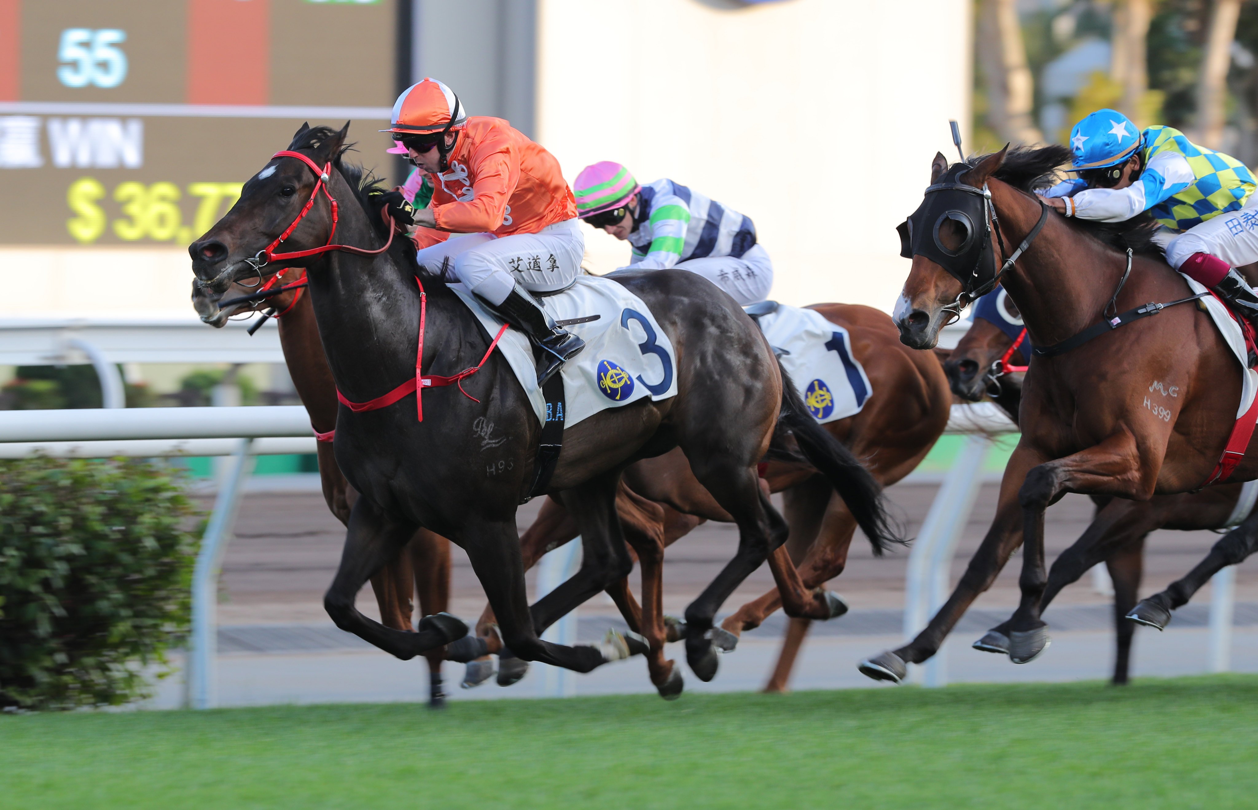 Brenton Avdulla spears Howdeepisyourlove to victory at Sha Tin earlier this month. Photo: Kenneth Chan