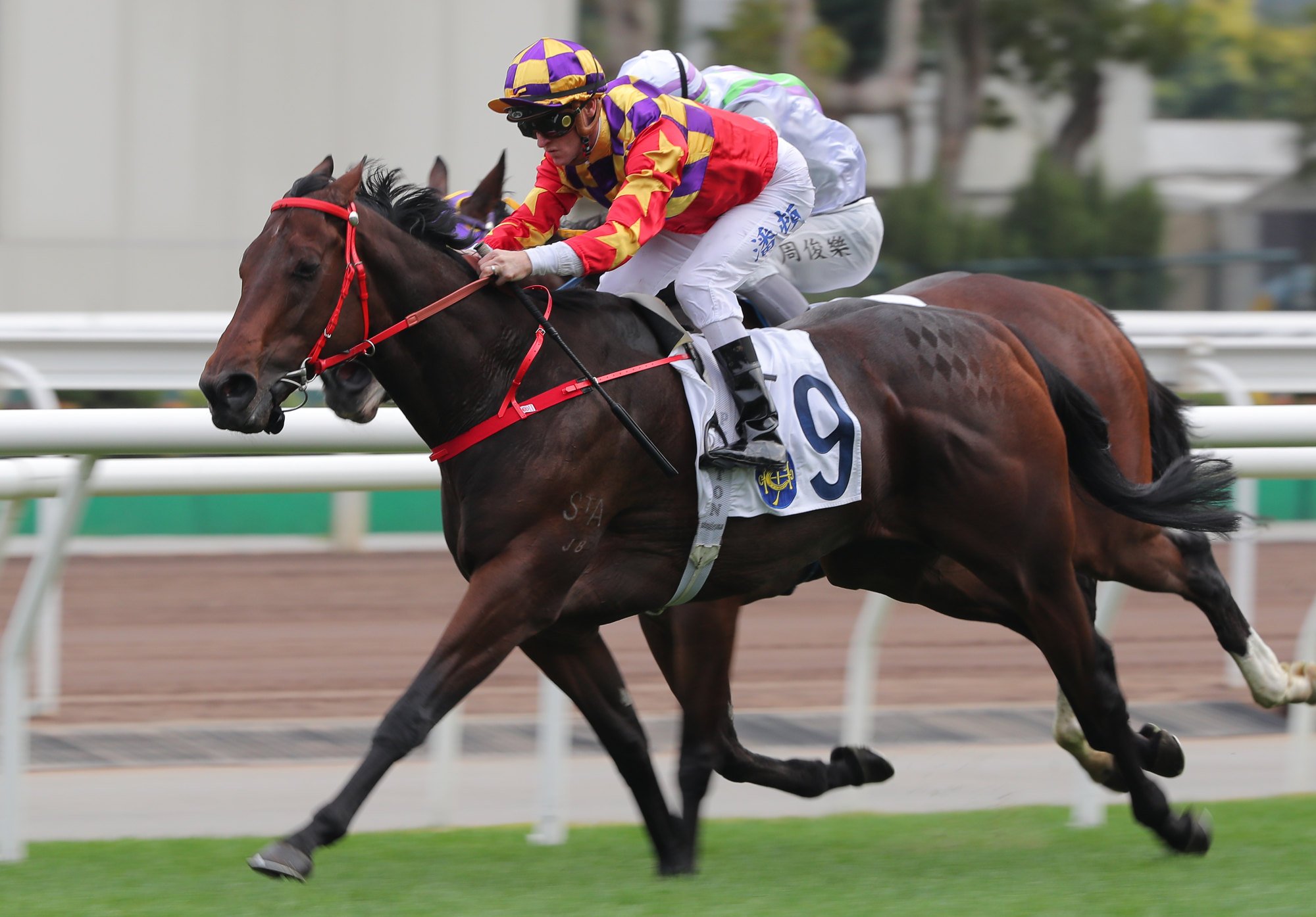 Zac Purton guides Gorgeous Win to victory at Sha Tin.