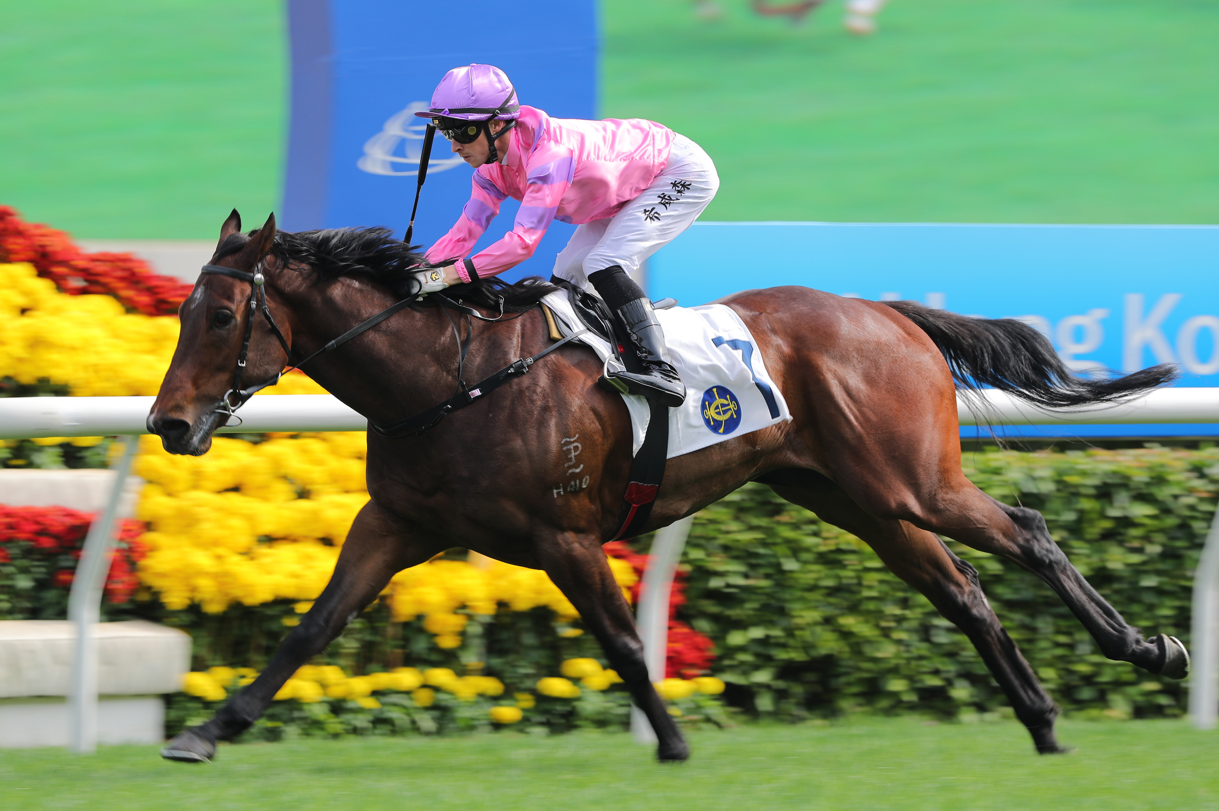 Call Me Glorious gets off the mark at the first time of asking at Sha Tin on Sunday. Photo: Kenneth Chan