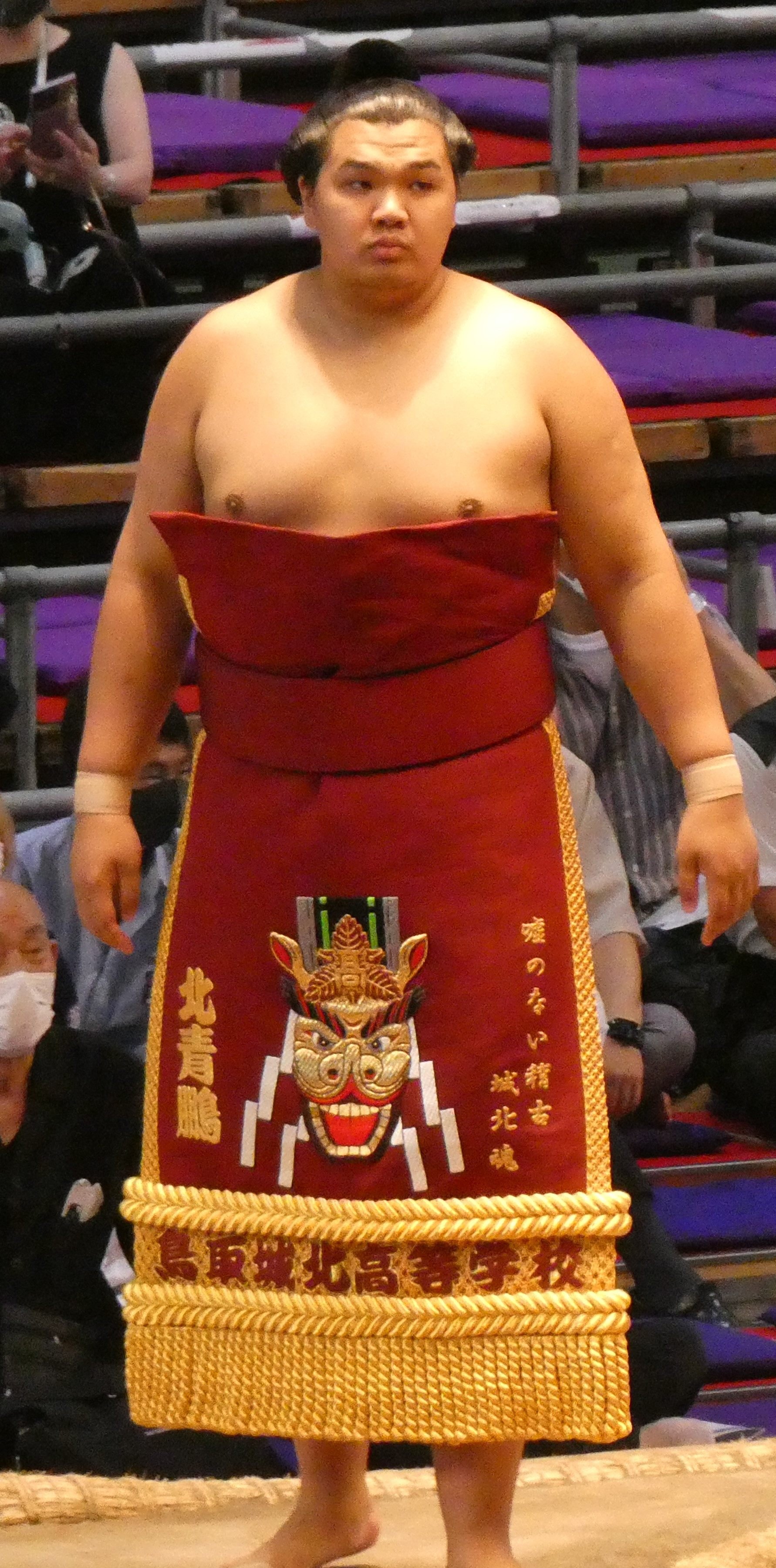 mongolian-born-top-japan-sumo-wrestler-22-forced-to-retire-over