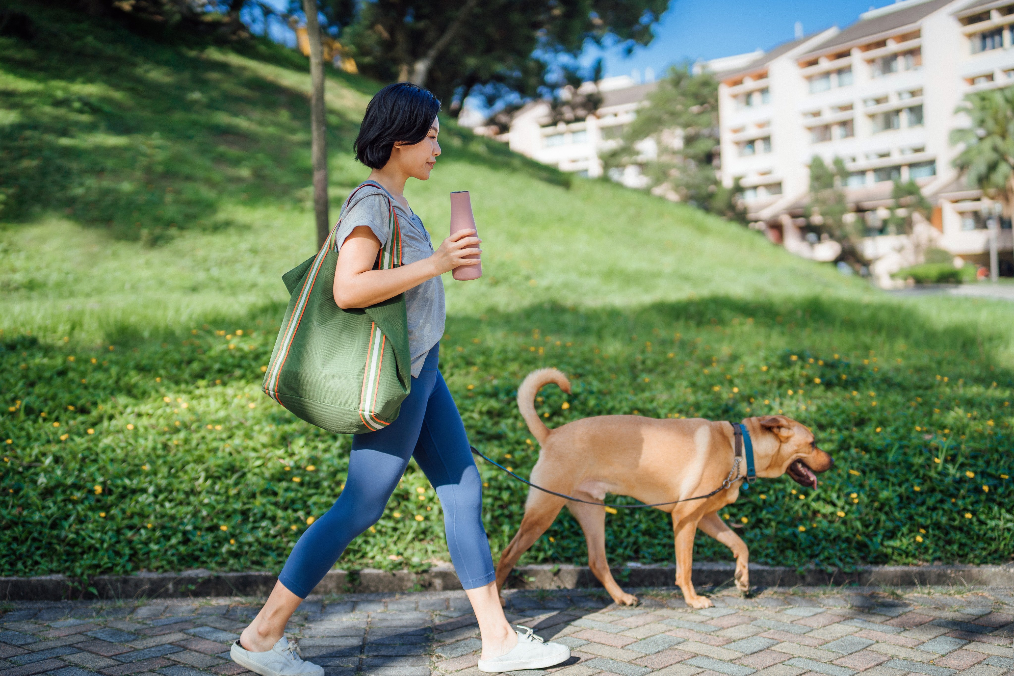 A woman walks her dog on a leash in the park. Photo: Getty Images