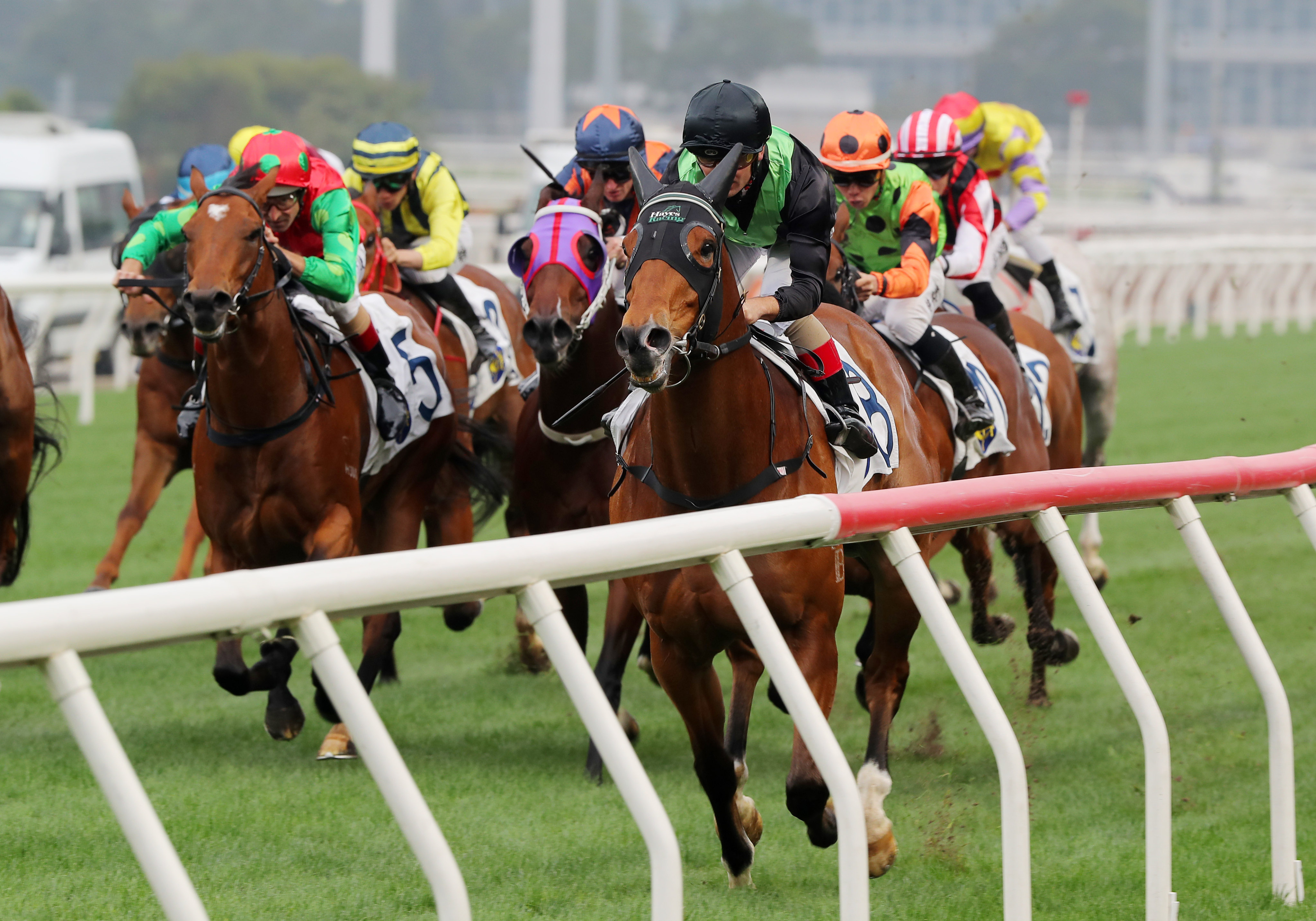 Nervous Witness shoots to victory under Andrea Atzeni at Sha Tin. Photo: Kenneth Chan
