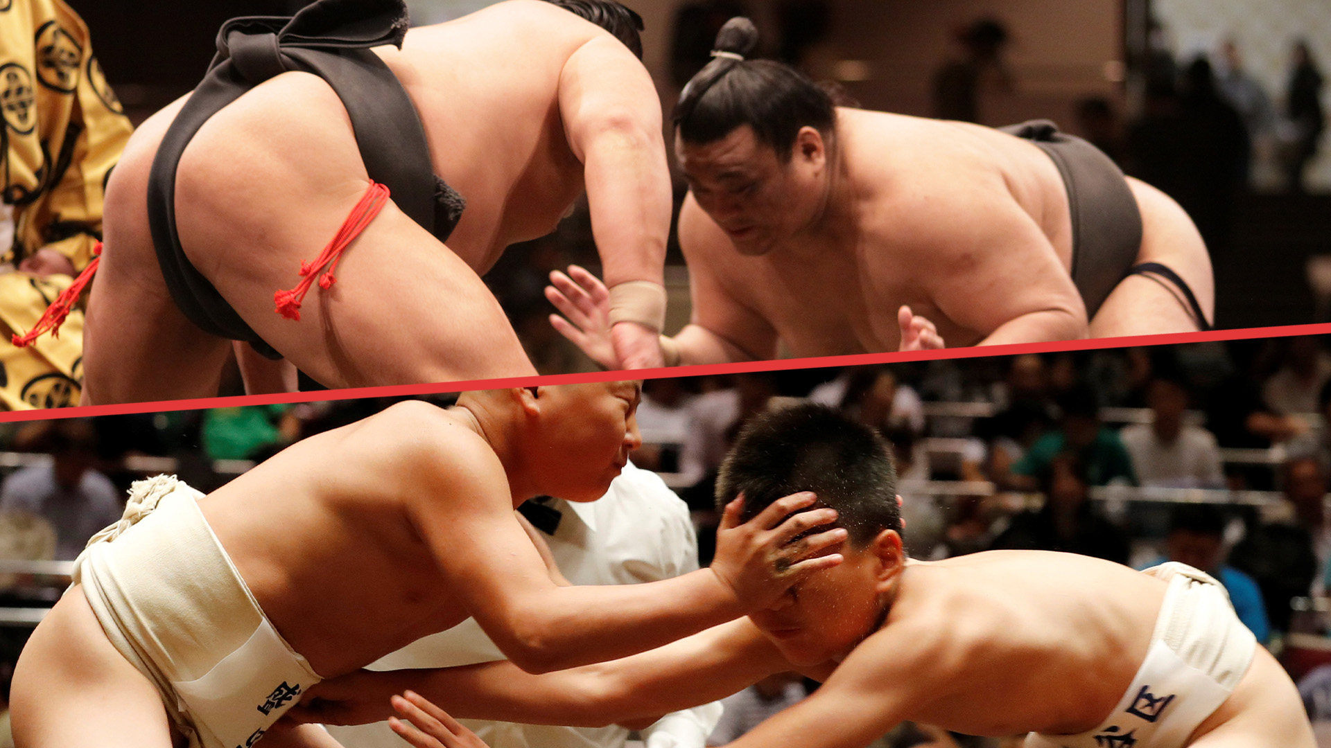 It may be Japan’s national sport, but sumo wrestling is dominated by fighters from Mongolia. The Post explains why. Photo: SCMP composite/Shutterstock/Reuters