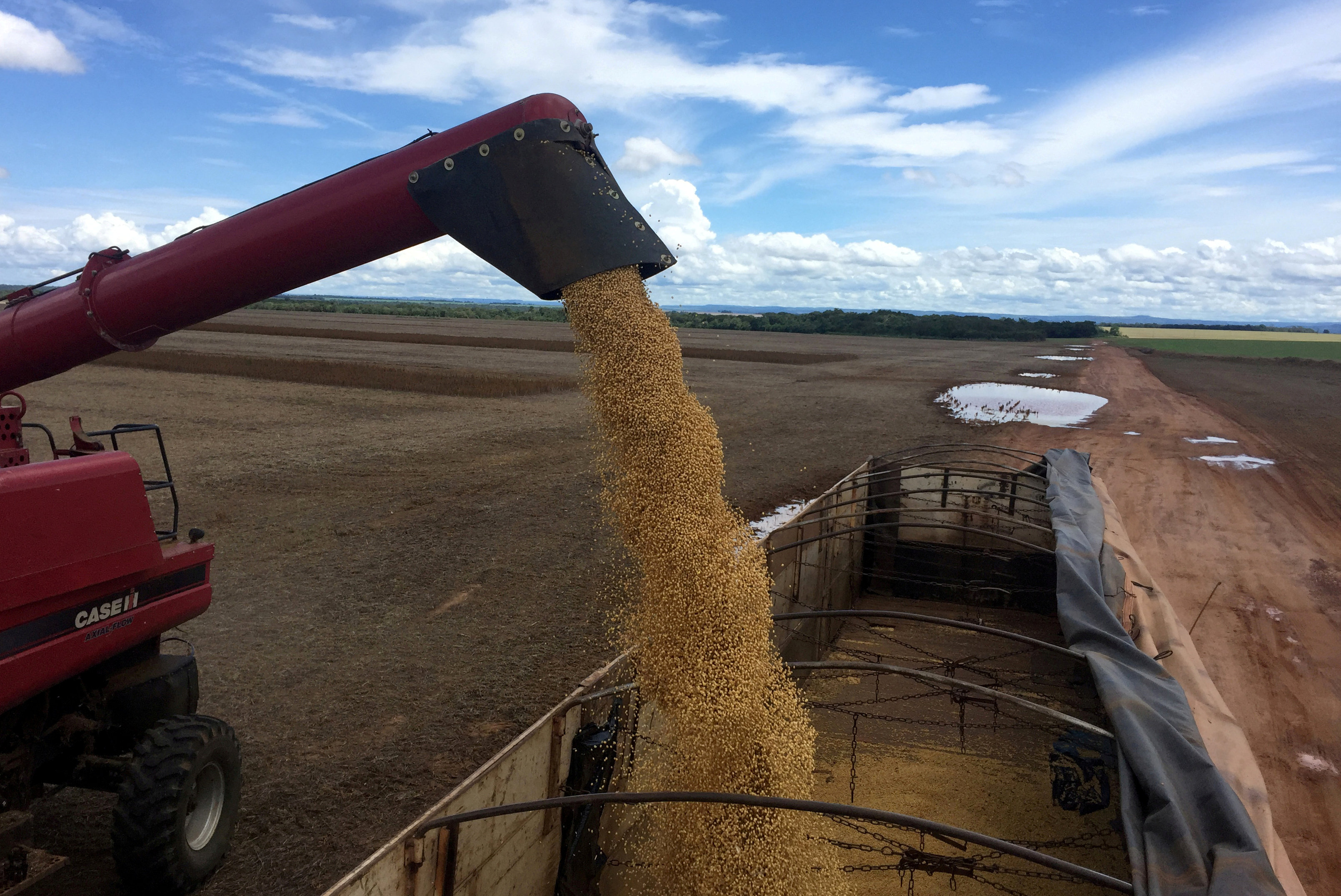 A truck is loaded with soybeans at a farm in Porto Nacional, Tocantins state, Brazil. Photo: Reuters