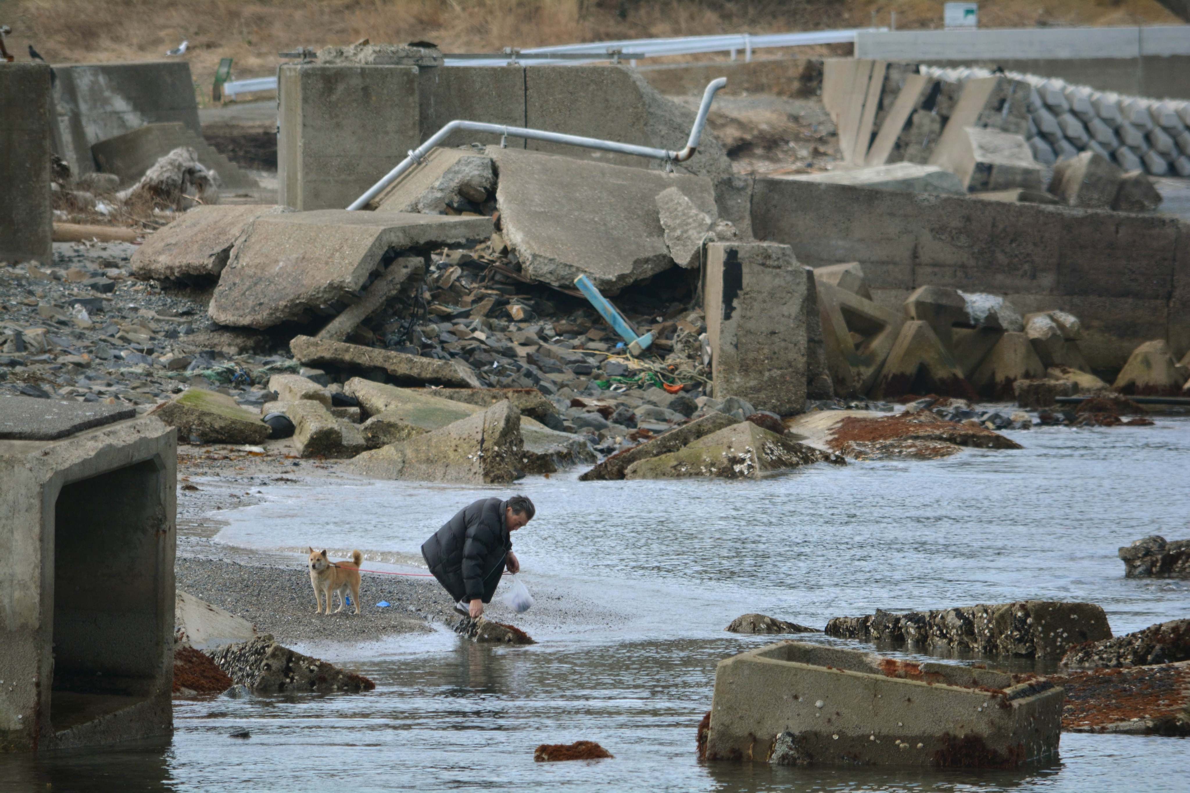 A man strolls on a beach surrounded by rubble in Minamisanriku, Miyagi prefecture on March 9, 2014, two days before the third anniversary of March 11, 2011 earthquake and tsunami. Photo: AFP