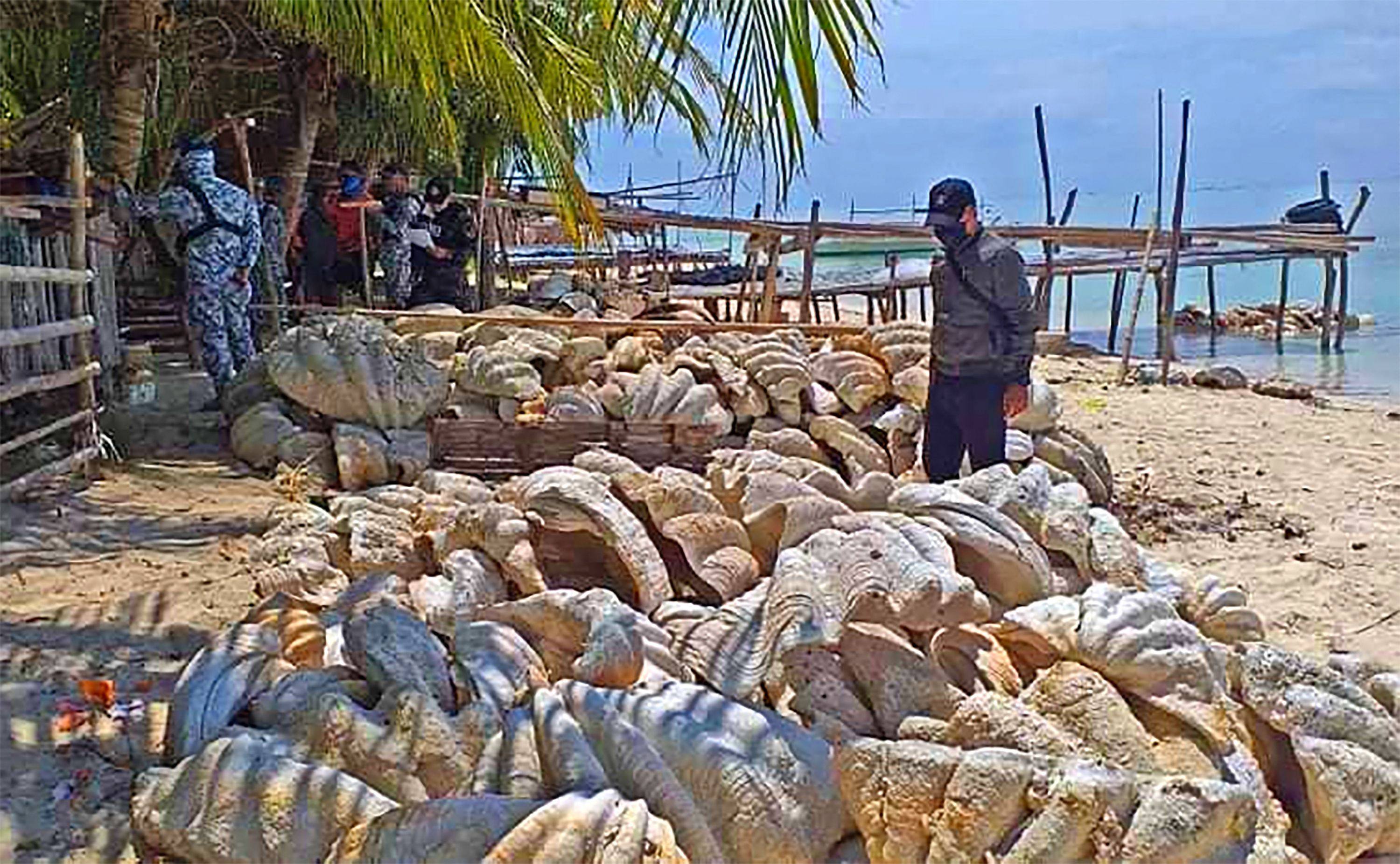 Philippine coastguard personnel inspecting seized giant clam shells in Roxas town, Palawan province on April 16, 2021. Photo: AFP
