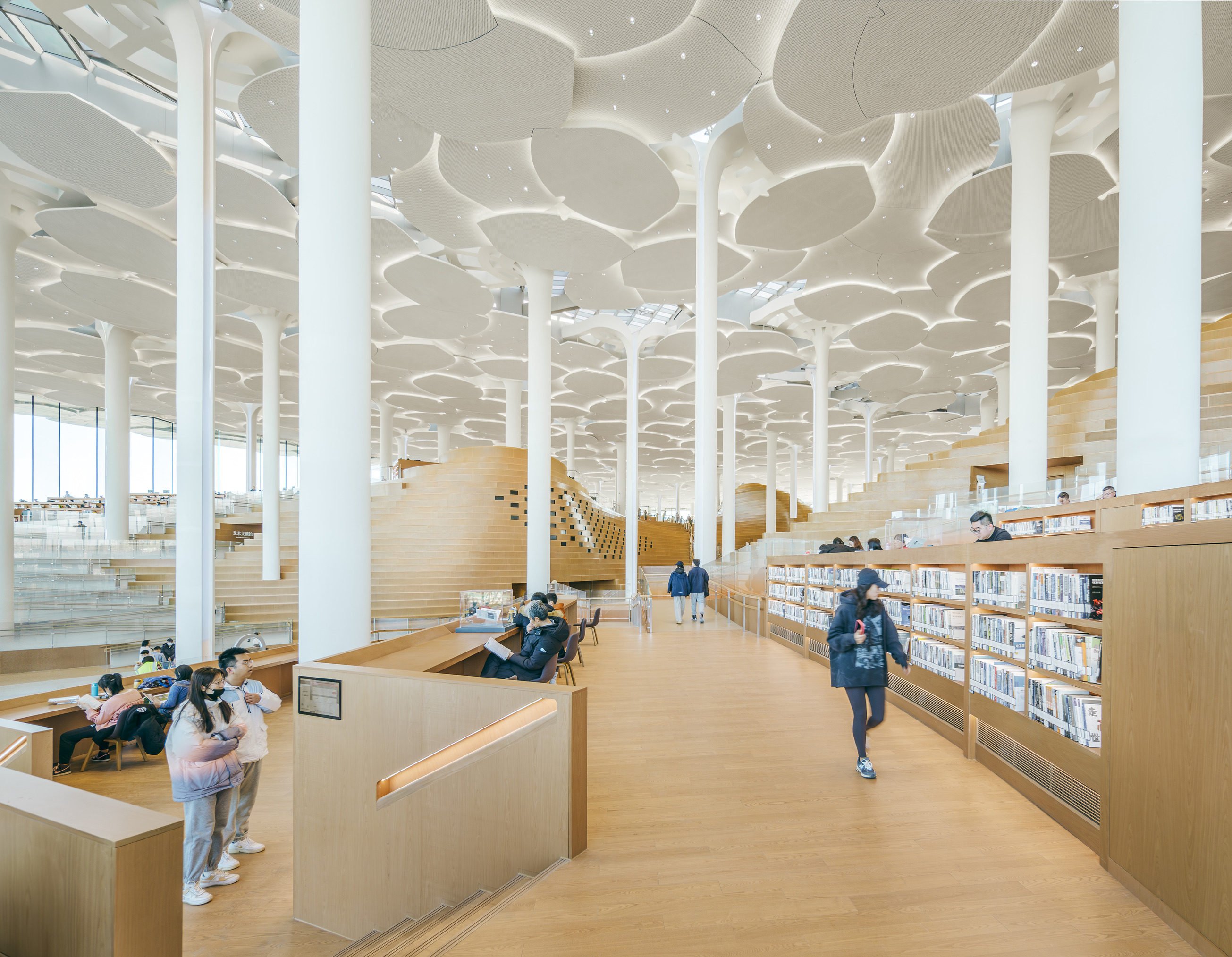 The world’s largest library reading space, in the Beijing City Library in China’s capital, was inspired by nature and designed to be something of a social space. Photo: Yumeng Zhu