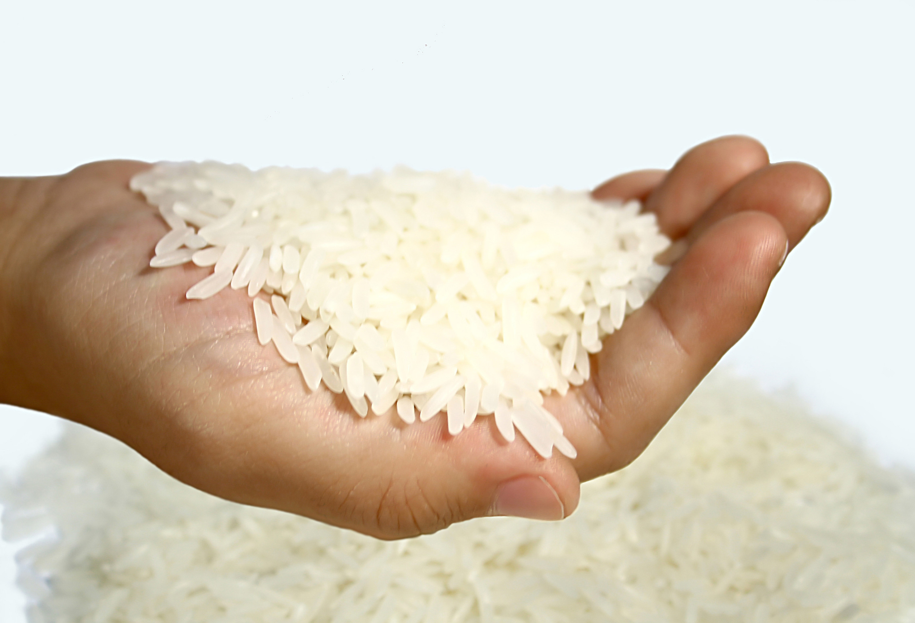 Rice already has a high nutrient level, but adding cells from livestock can further boost it. Photo: Dreamstime/TNS
