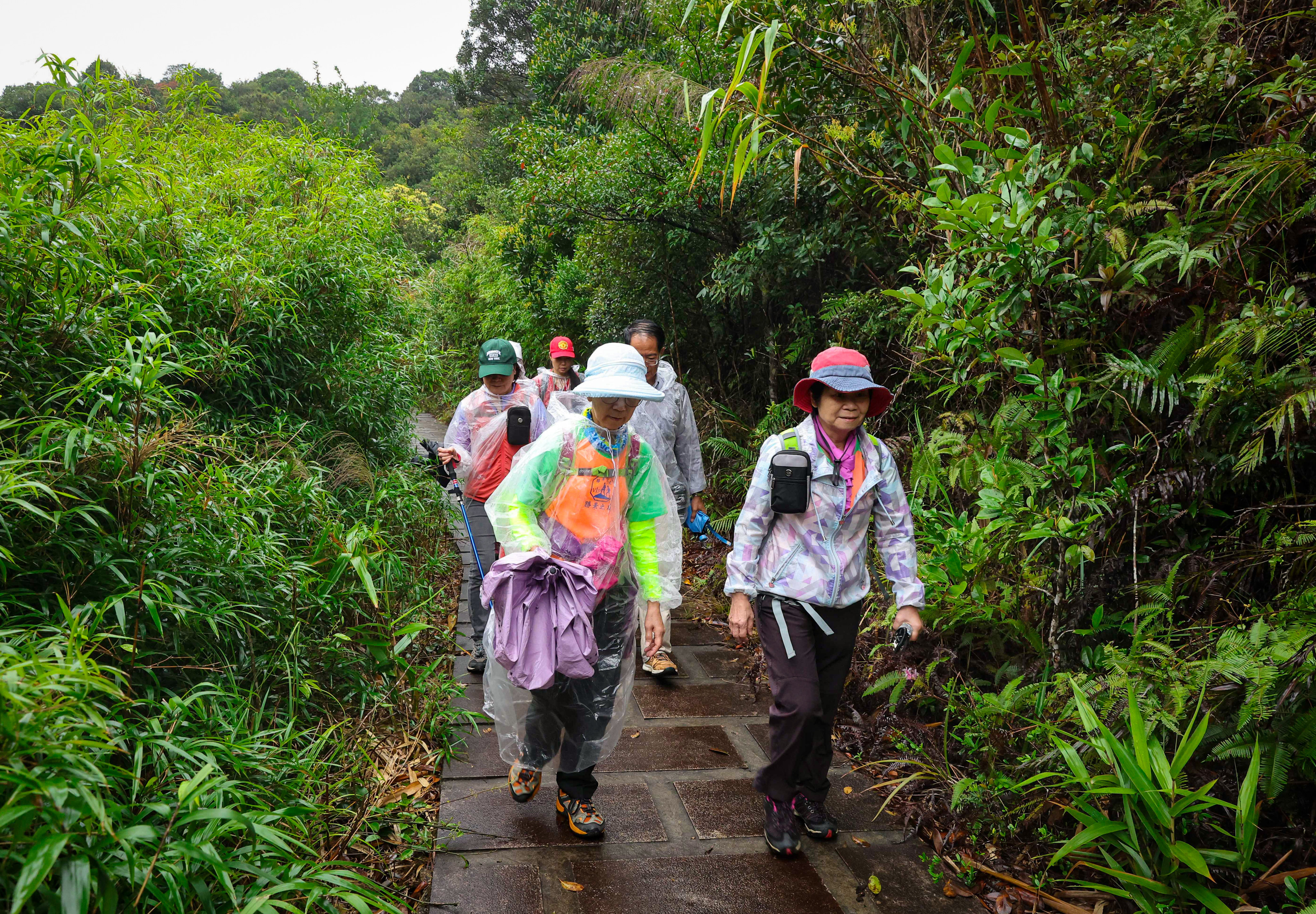 Hundreds of Hong Kong trekking enthusiasts embarked on a free and guided hike in neighbouring Shenzhen earlier this month. Photo: Edmond So