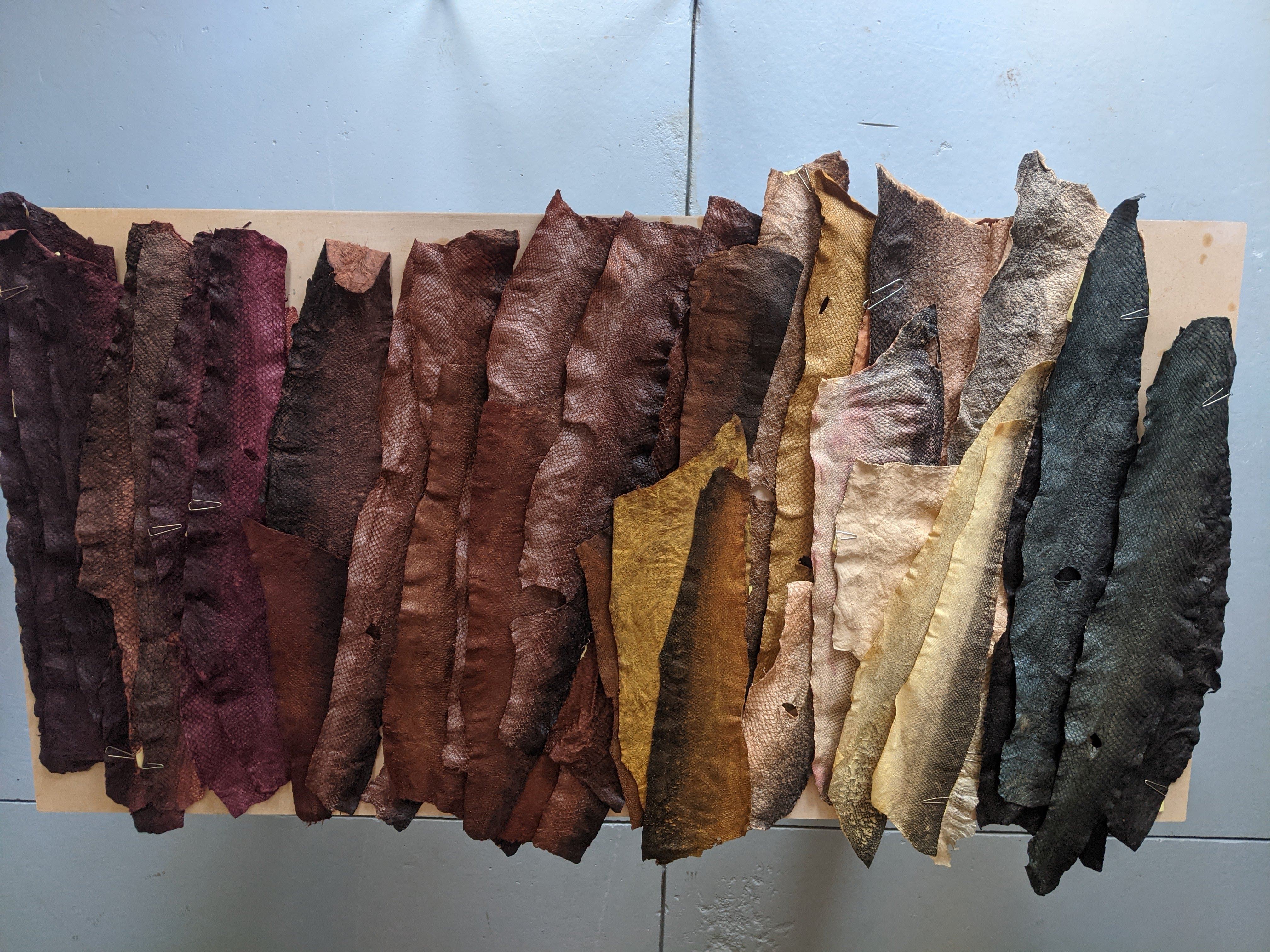 Hong Kong-born, Vancouver-based Noelle Lee works with a natural tanning process to transform fish skin (mostly salmon) to leather. Photo: Noelle Lee
