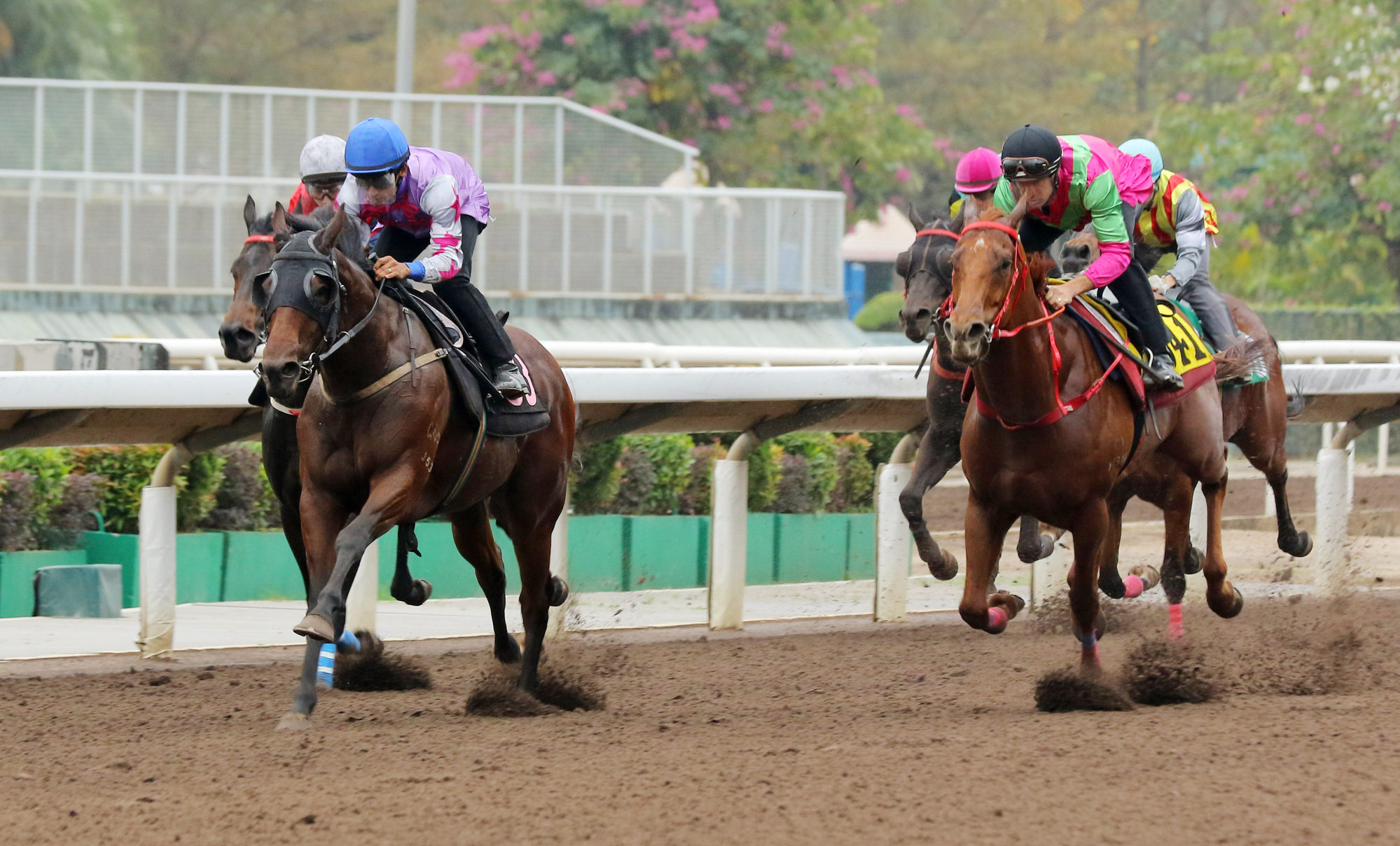 Star Mac wins a Sha Tin trial under Karis Teetan.