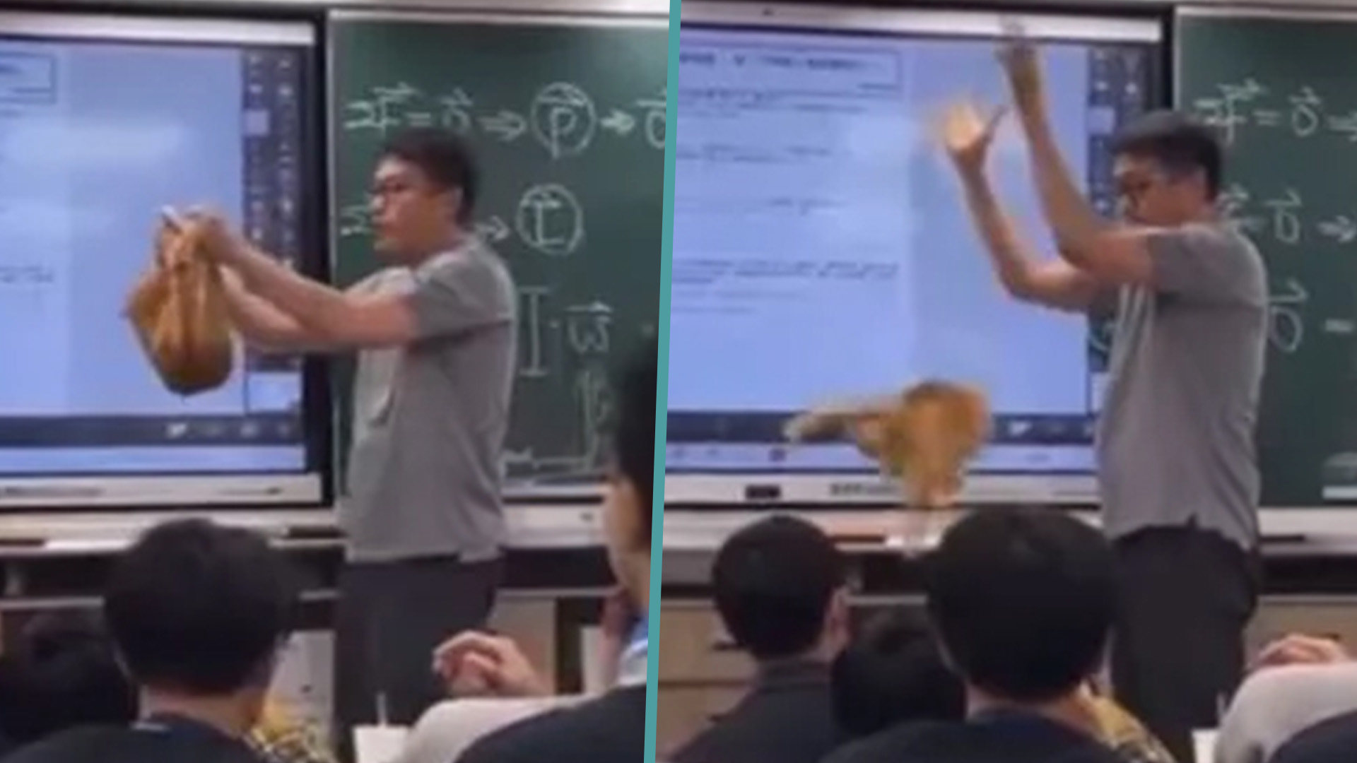 A science teacher in Taiwan has been forced to apologise after he dropped a squealing cat onto a classroom floor as part of an experiment, sparking an angry backlash on social media. Photo: SCMP composite/Facebook