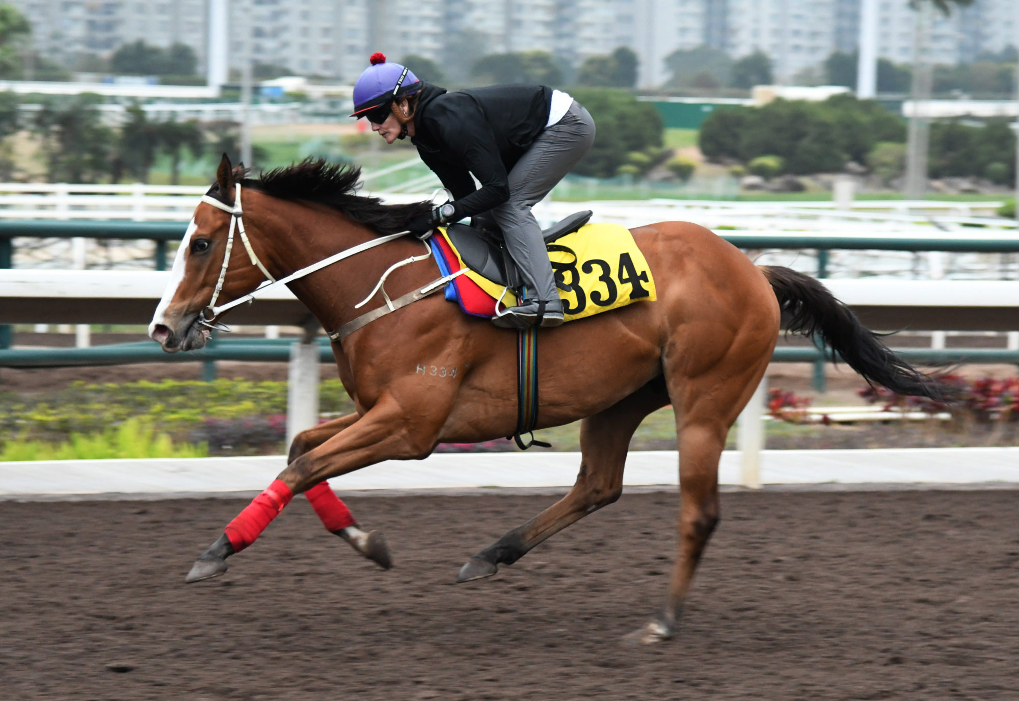 Beauty Crescent gallops on the all-weather track at Sha Tin.