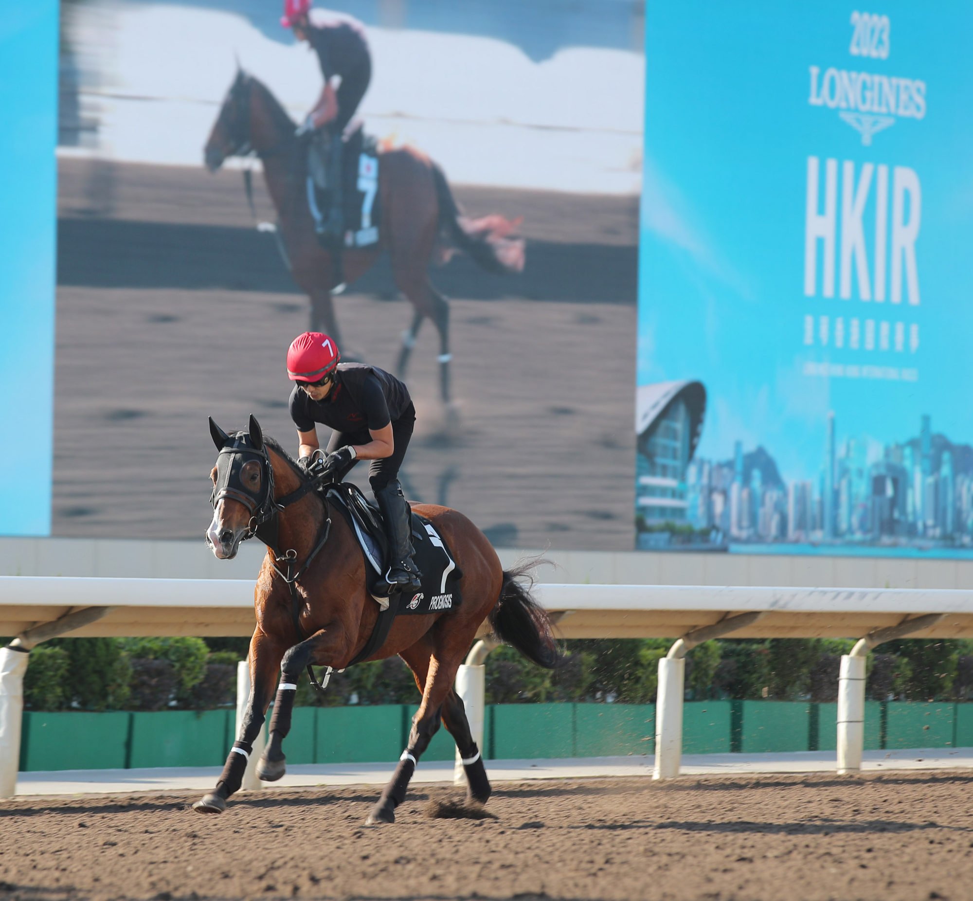 Prognosis gallops at Sha Tin ahead of December’s Group One Hong Kong Cup (2,000m).