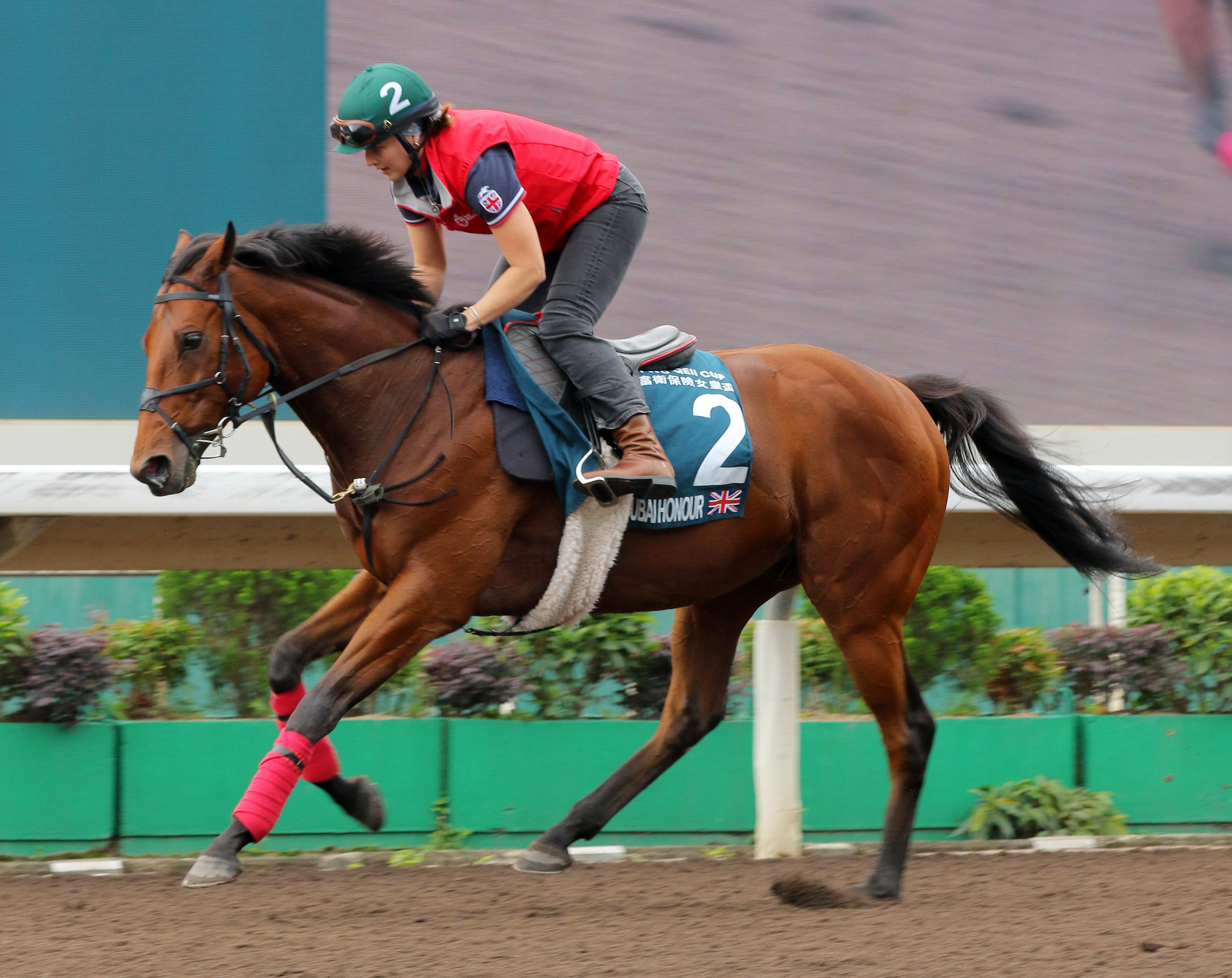 Dubai Honour is a chance to run in next month’s Group One QE II Cup (2,000m) at Sha Tin. Photos: Kenneth Chan