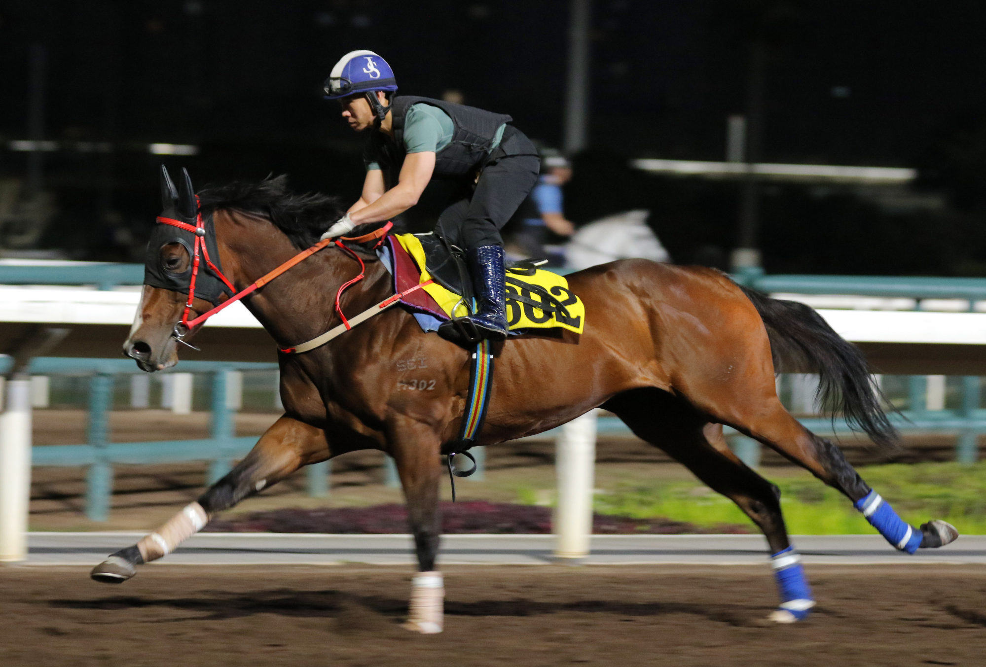Helios Express gallops on the all-weather track at Sha Tin on March 21. Photo: Kenneth Chan