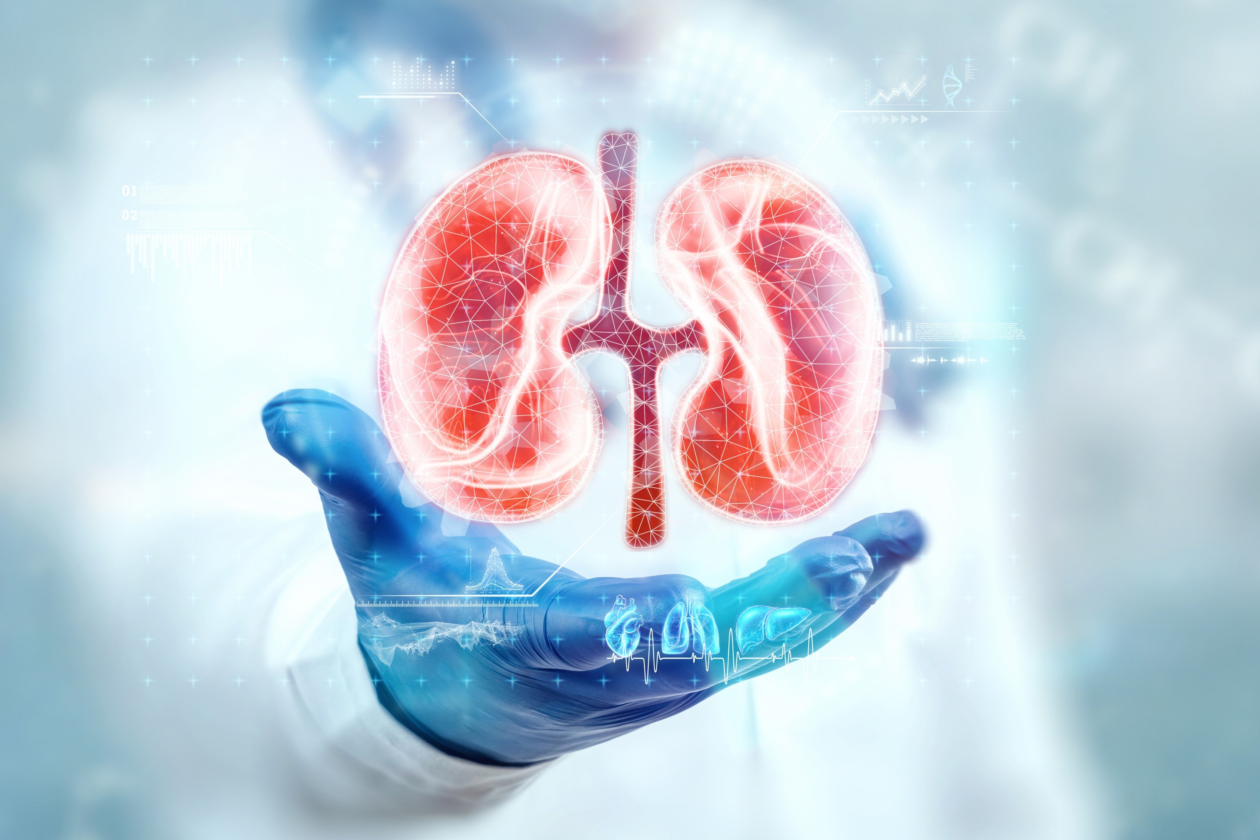 Scientists in China have developed a new therapeutic nanodrug using a marine bacteria-derived drug molecule and a shellfish-derived sugar as a delivery system for treatment of acute kidney injury. Photo Shutterstock