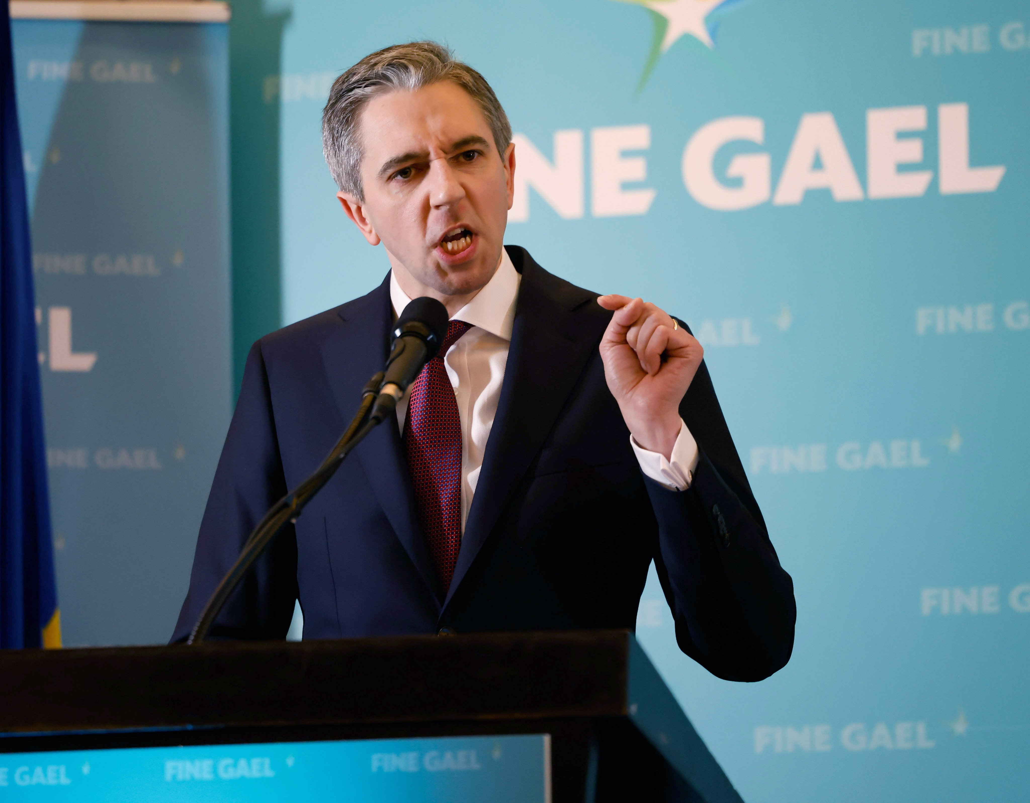 Ireland’s Further and Higher Education Minister Simon Harris addresses the audience after he was declared the new leader of Fine Gael at the Sheraton Hotel in Athlone, Ireland on Sunday. Photo: EPA-EFE