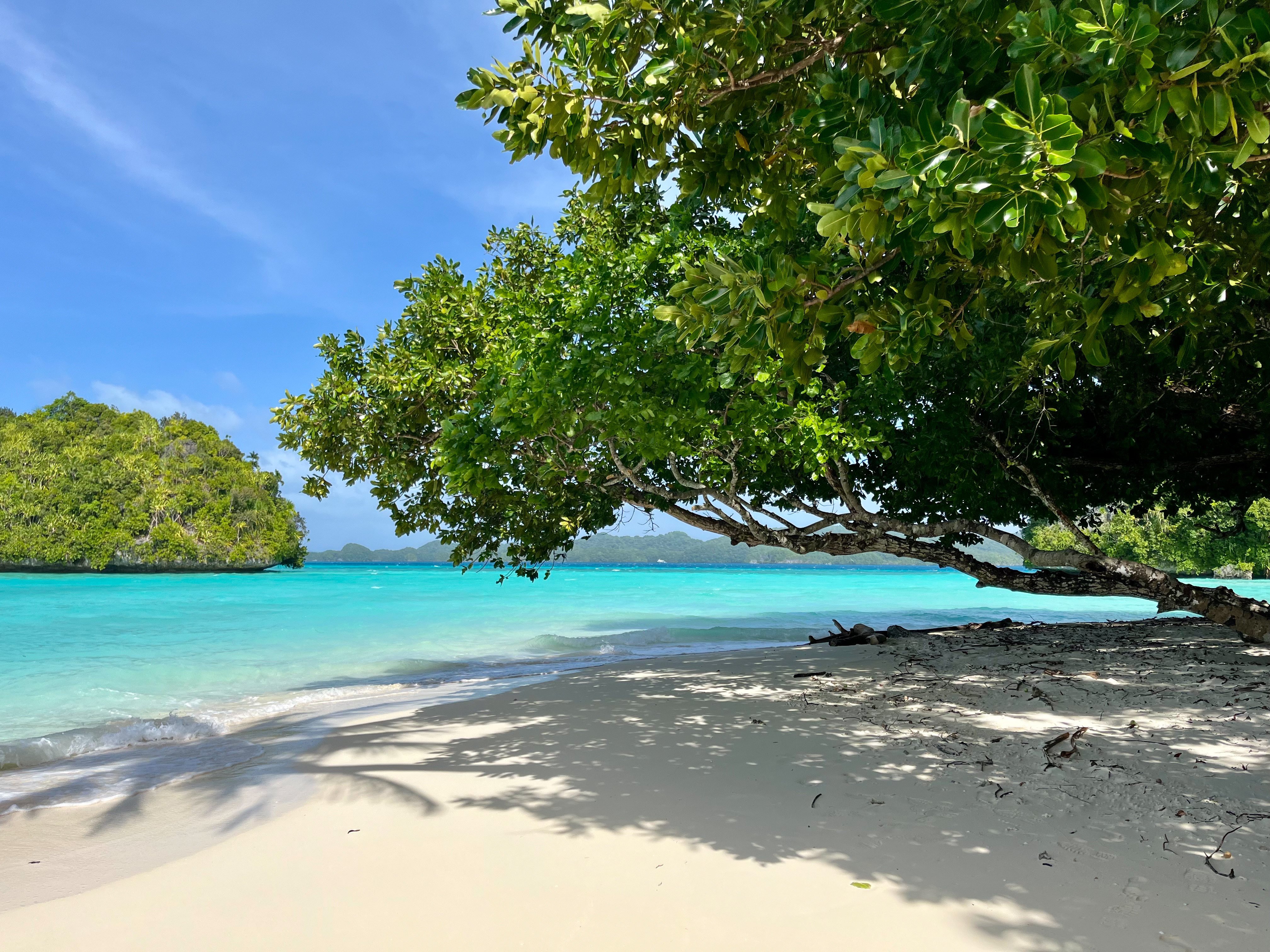 Empty white sand beaches, such as this one in the Rock Islands, are one of Palau’s attractions. Photo: Lee Cobaj