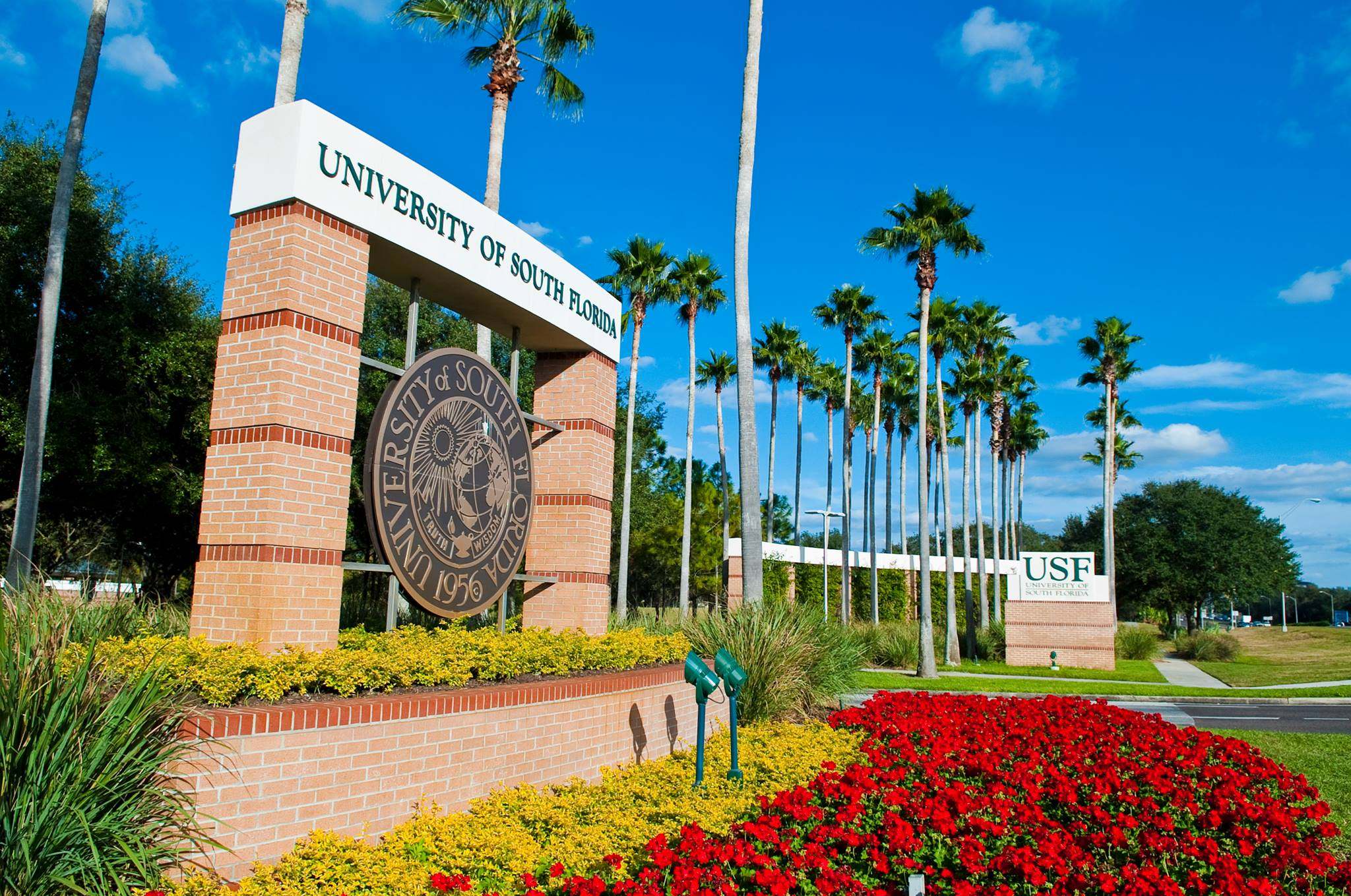 The plaintiffs said the law “casts a cloud of suspicion” over Chinese people seeking to work at Florida’s public universities and colleges. Photo: University of South Florida