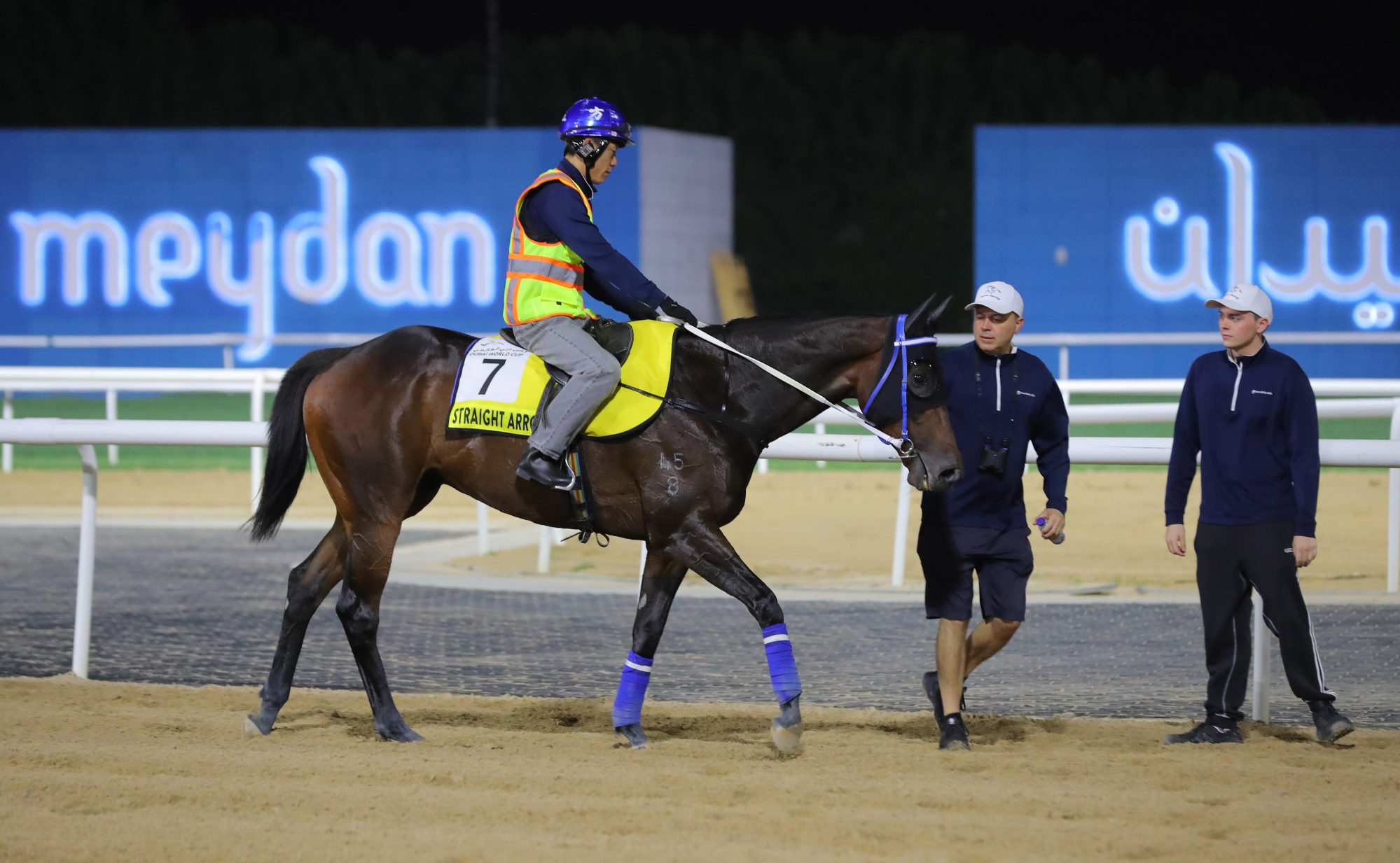 Trainer Caspar Fownes looks over Straight Arron after his Wednesday morning gallop at Meydan.