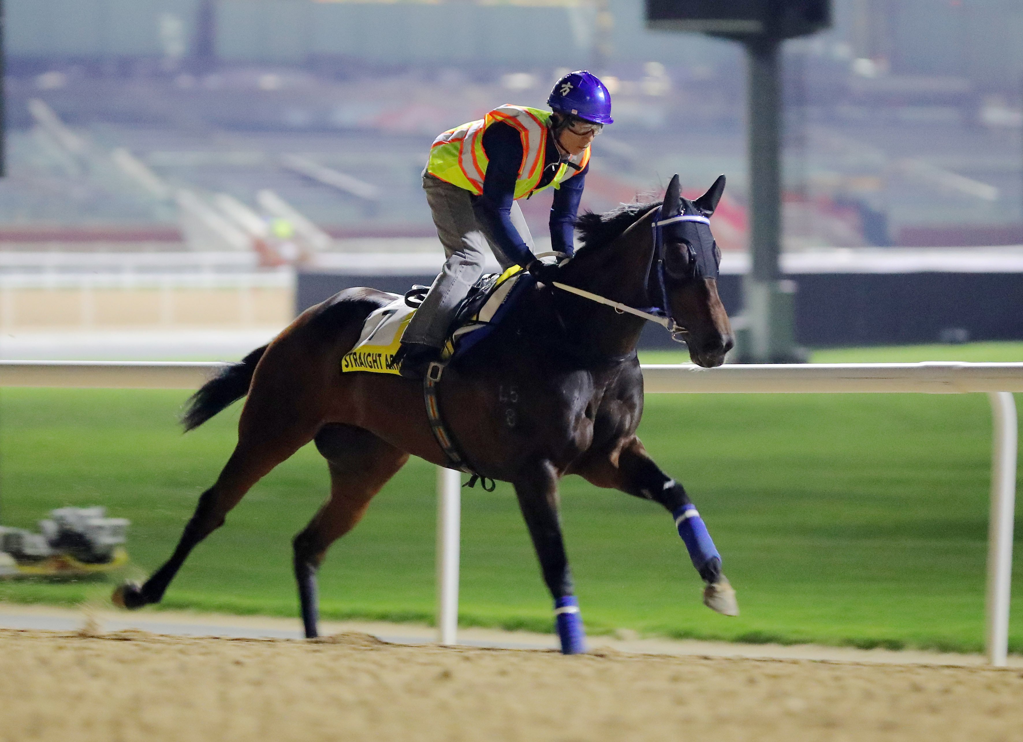 Straight Arron gallops at Meydan on Wednesday morning. Photos: Kenneth Chan