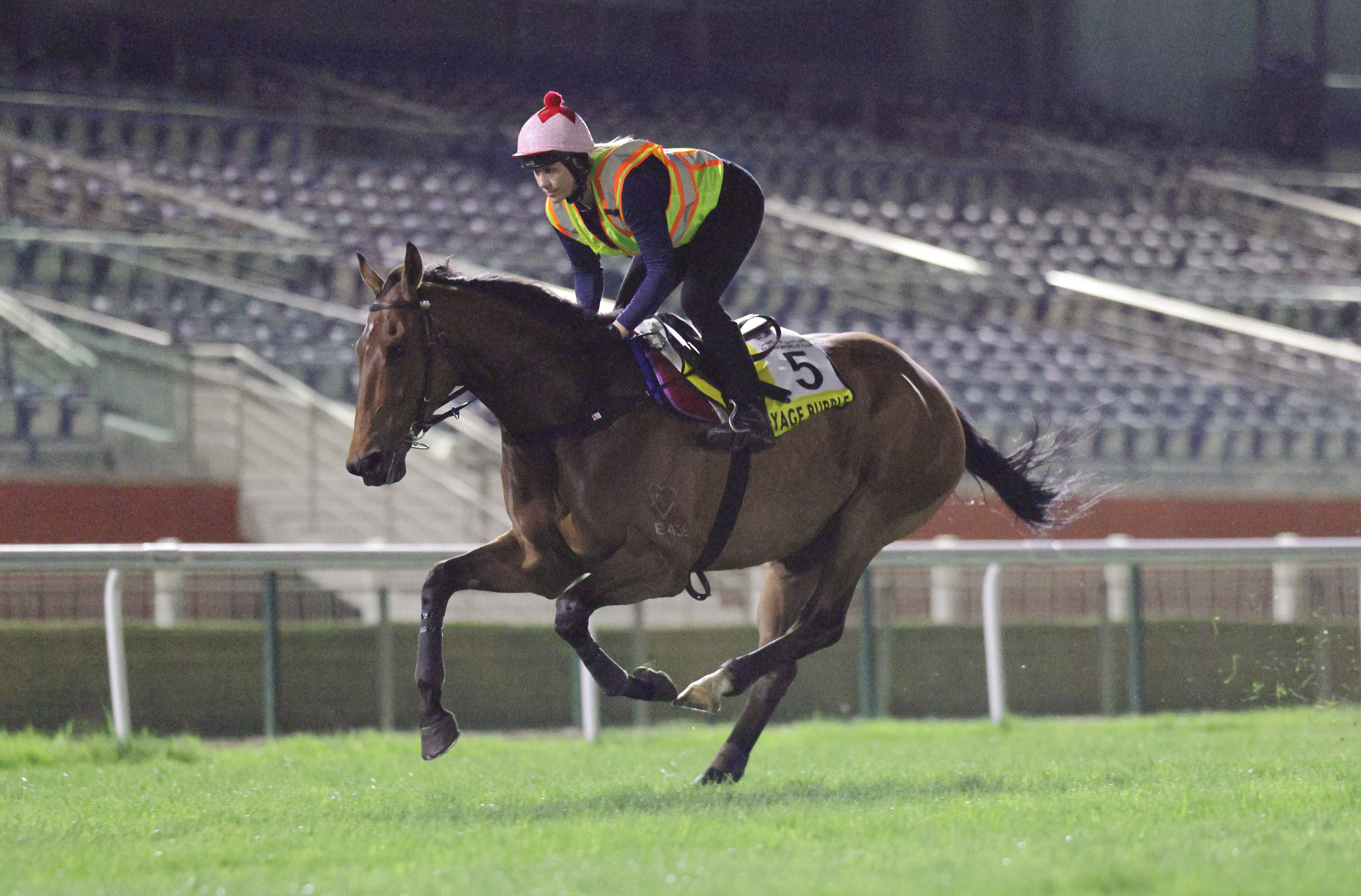 Voyage Bubble stretches his legs in Dubai this week. Photos: Kenneth Chan