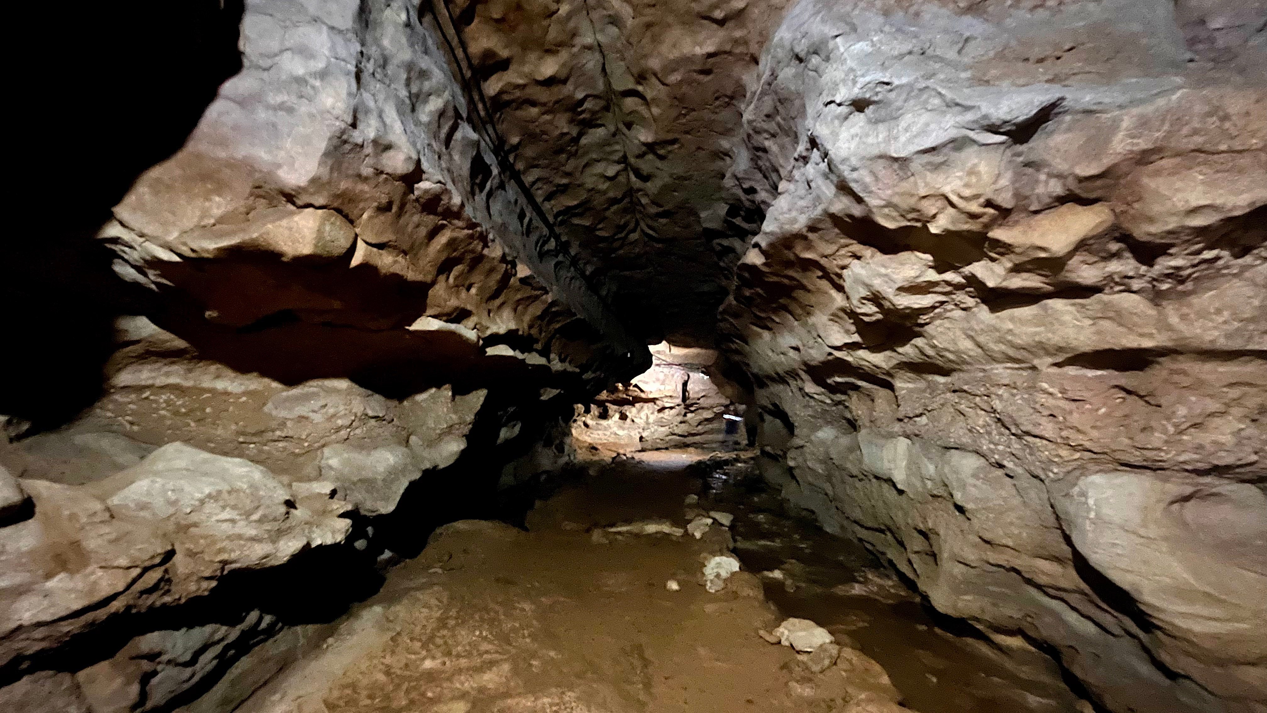 Inside the Arwah cave in the East Khasi Hills, Meghalaya, India. Photo: Meenakshi J 