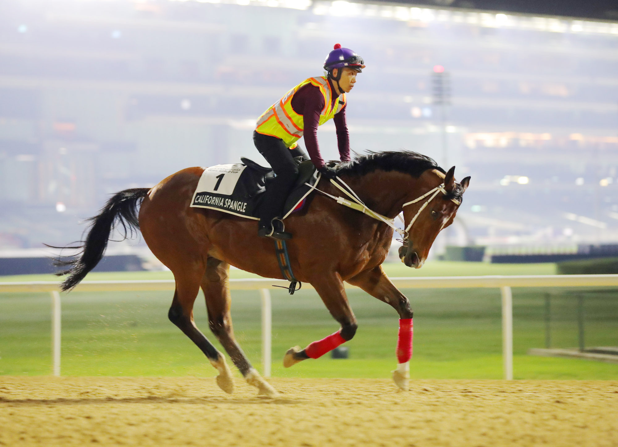 California Spangle gallops at Meydan on Thursday morning.