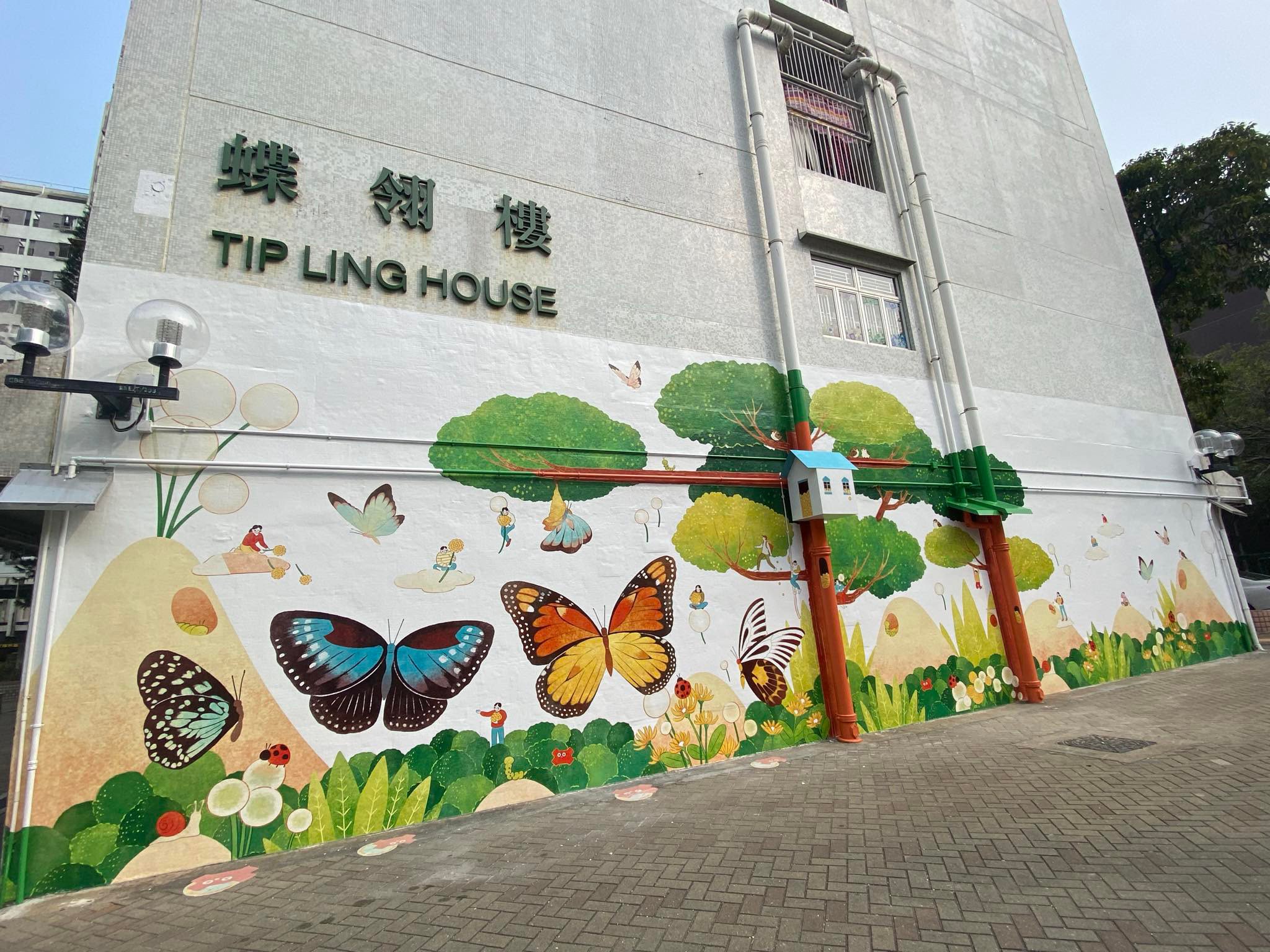 The new design at Butterfly Estate includes the decoration of exterior walls and upgrading of public spaces to improve the environment. Photo: Fiona Sun