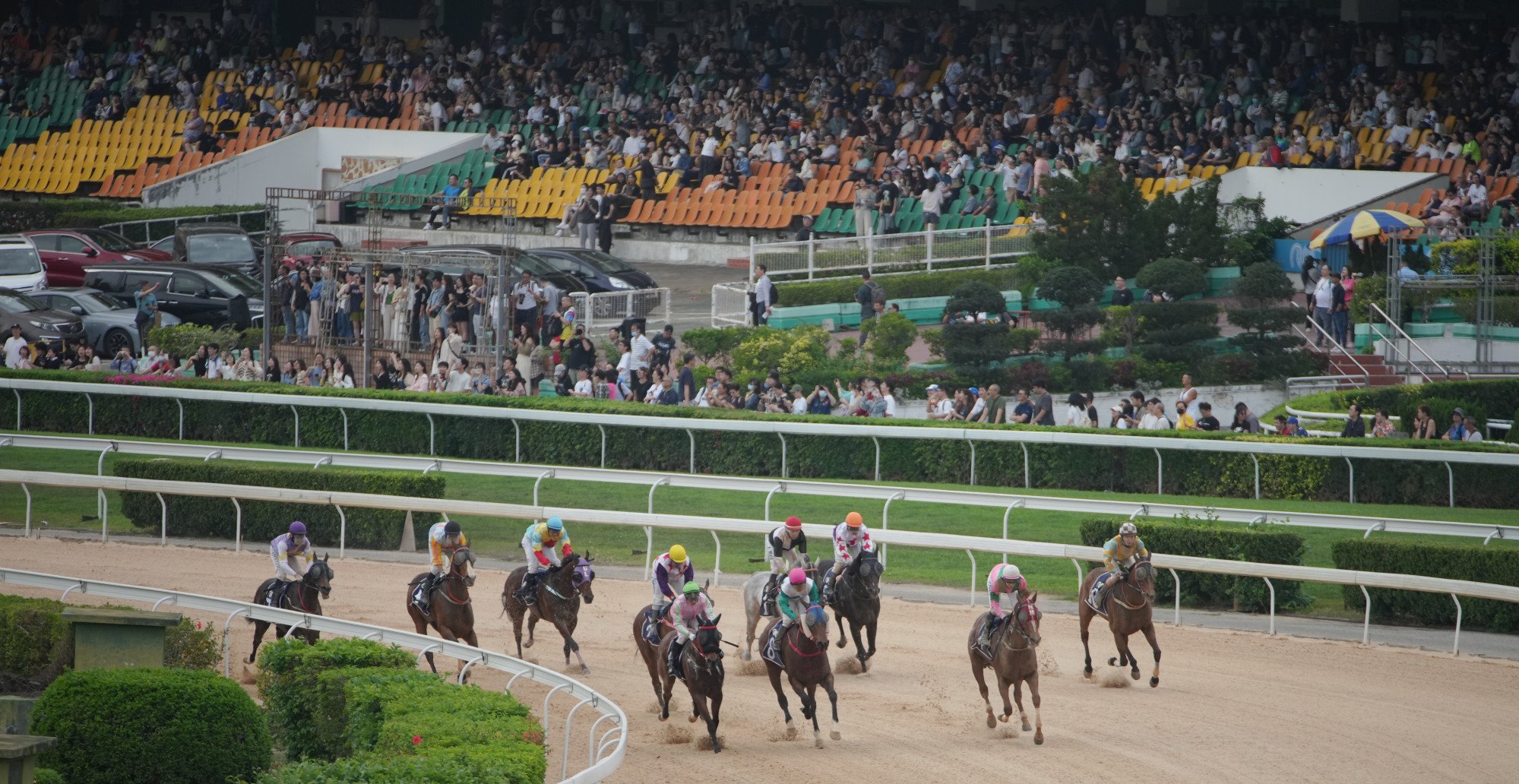 A bumper crowd watches on as Macau hosts its last race meeting on Saturday. Photo: Eugene Lee