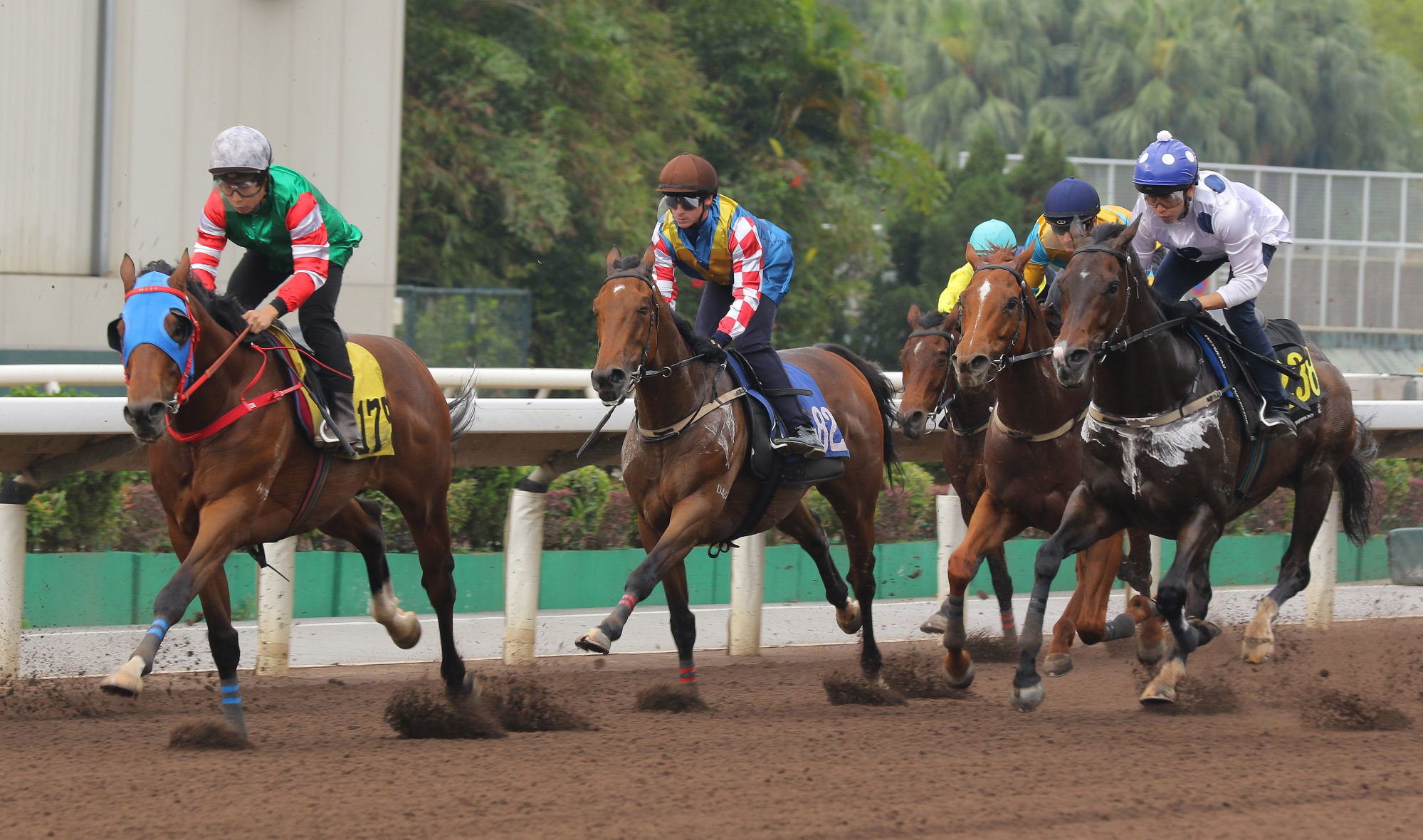Golden Sixty (right) runs on for third behind Chiu Chow Spirit (inside) in Tuesday’s trial.