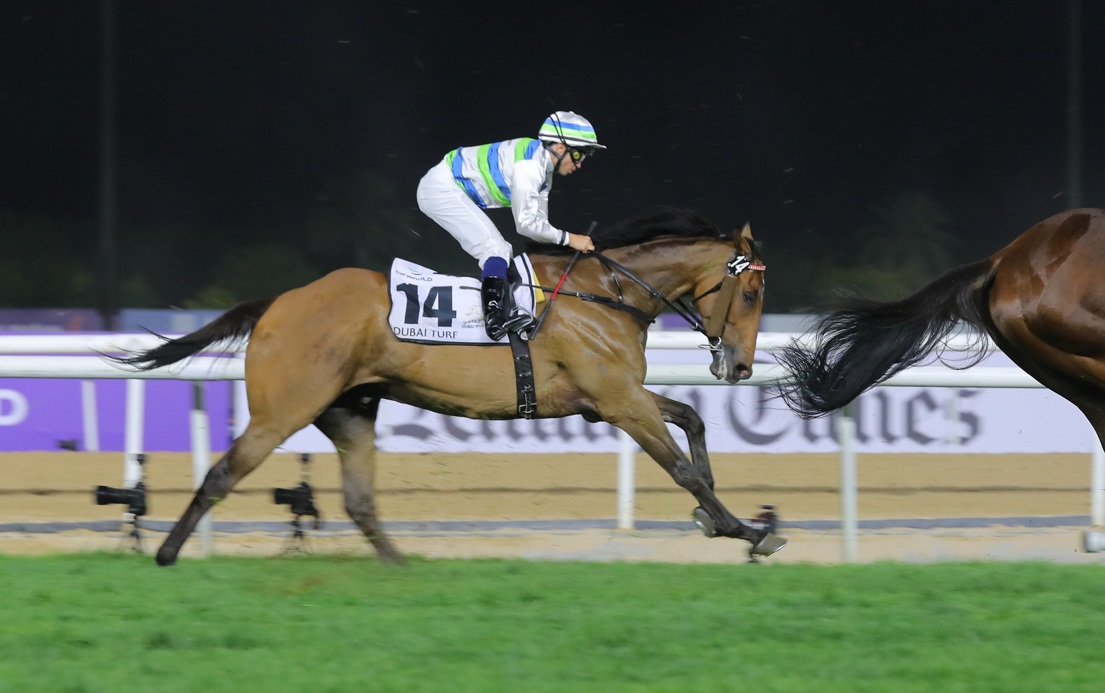 Voyage Bubble finishes back in the field in last weekend’s Group One Dubai Turf (1,800m). Photo: Kenneth Chan