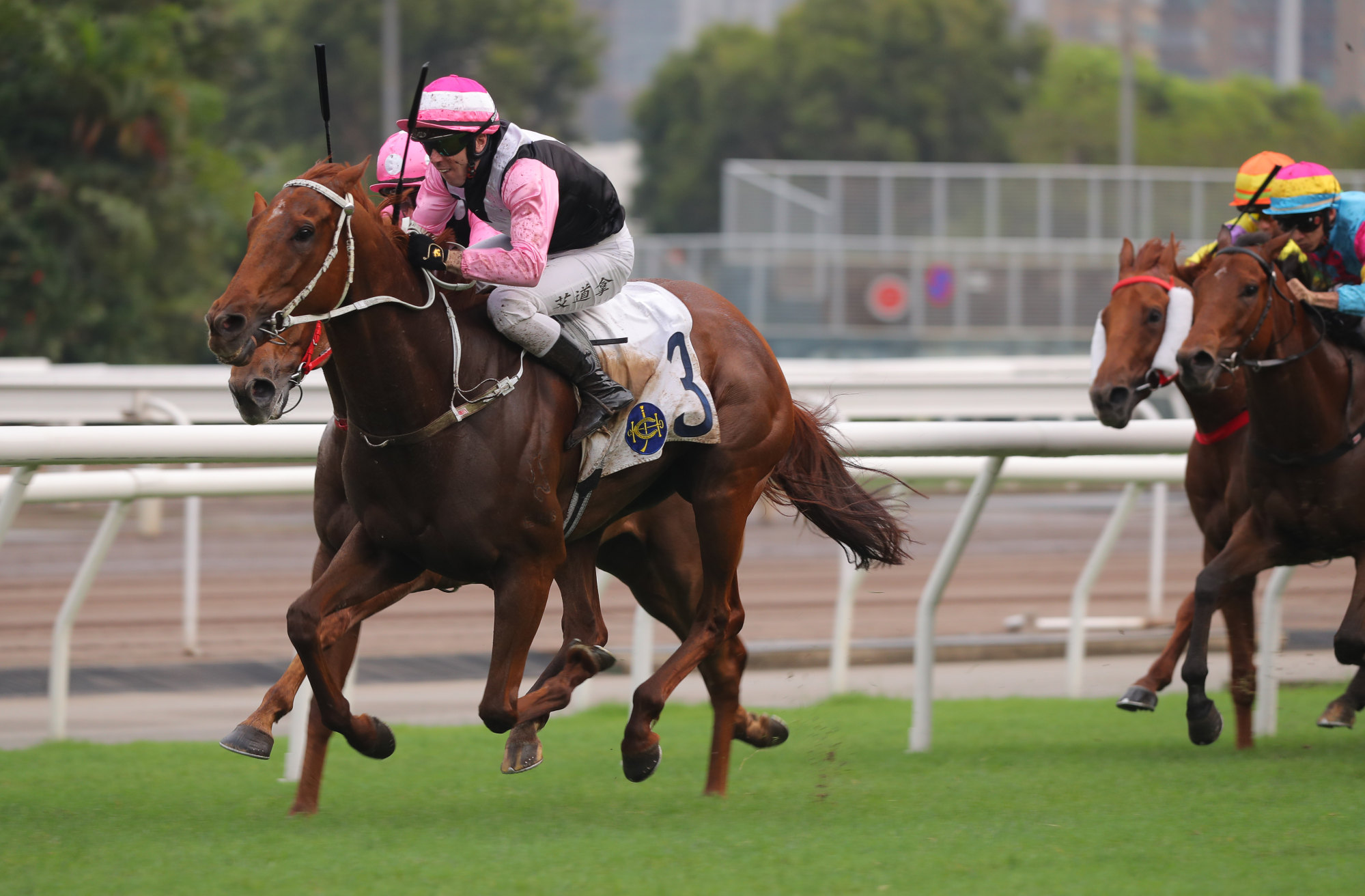 Brenton Avdulla guides Beauty Joy to victory in the Chairman’s Trophy.