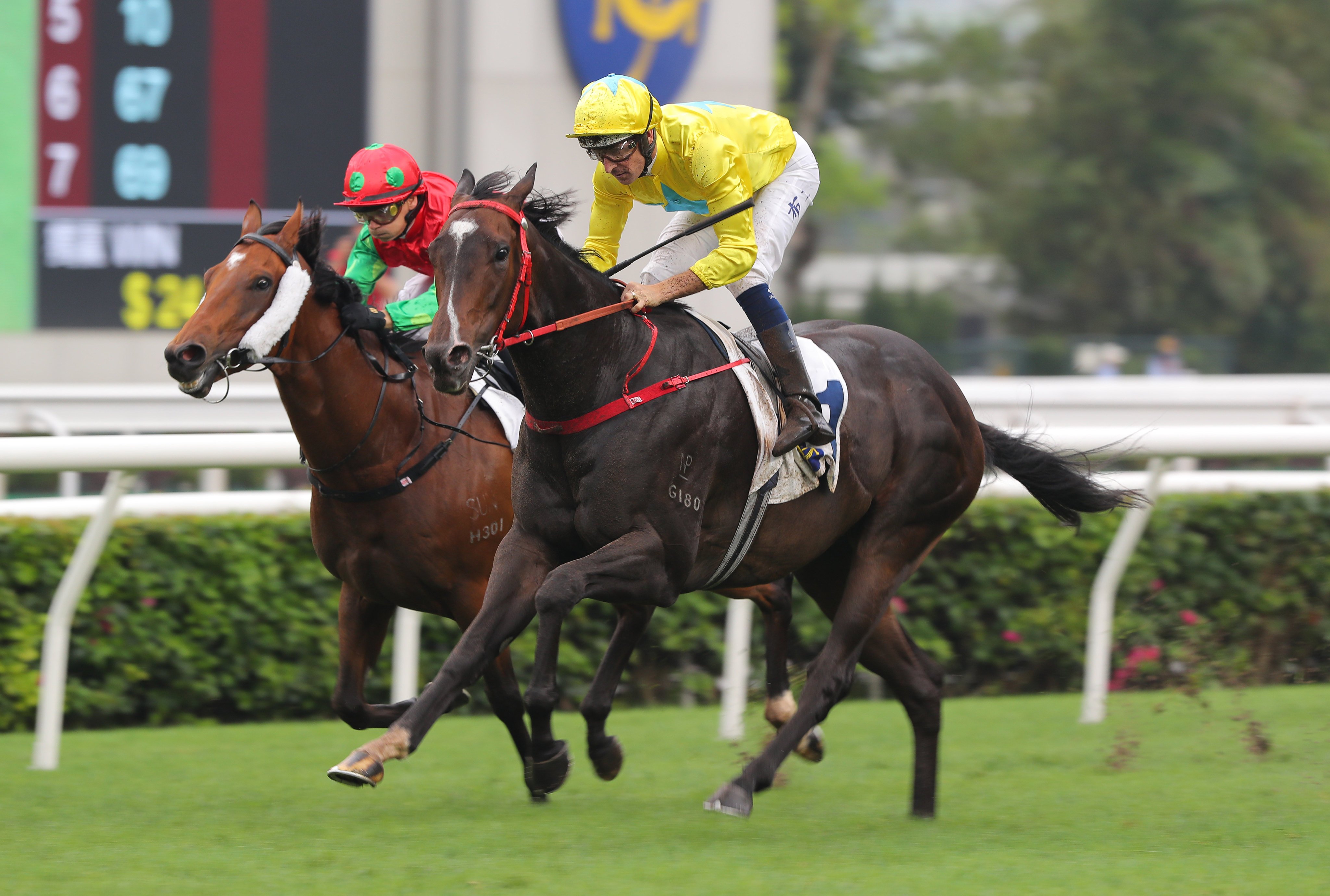 Lucky Sweynesse (outside) sees off Invincible Sage to win Sunday’s Group Two Sprint Cup (1,200m) at Sha Tin. Photos: Kenneth Chan
