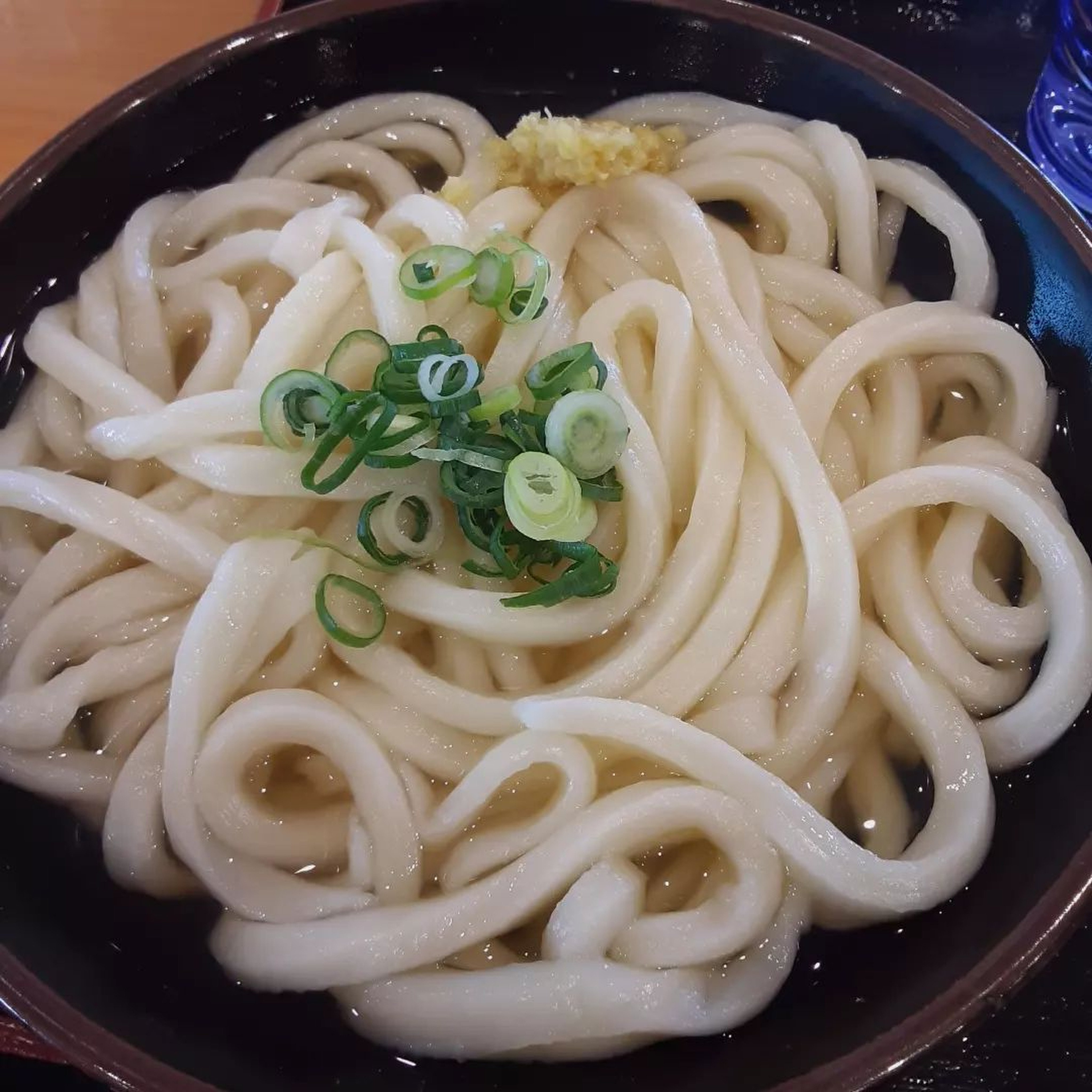 Sanuki udon. Columnist Wee Kek Koon was won over to the merits of the chewy white wheat noodle on a trip to Kagawa, Shikoku, Japan. Photo: Instagram/udonken.t