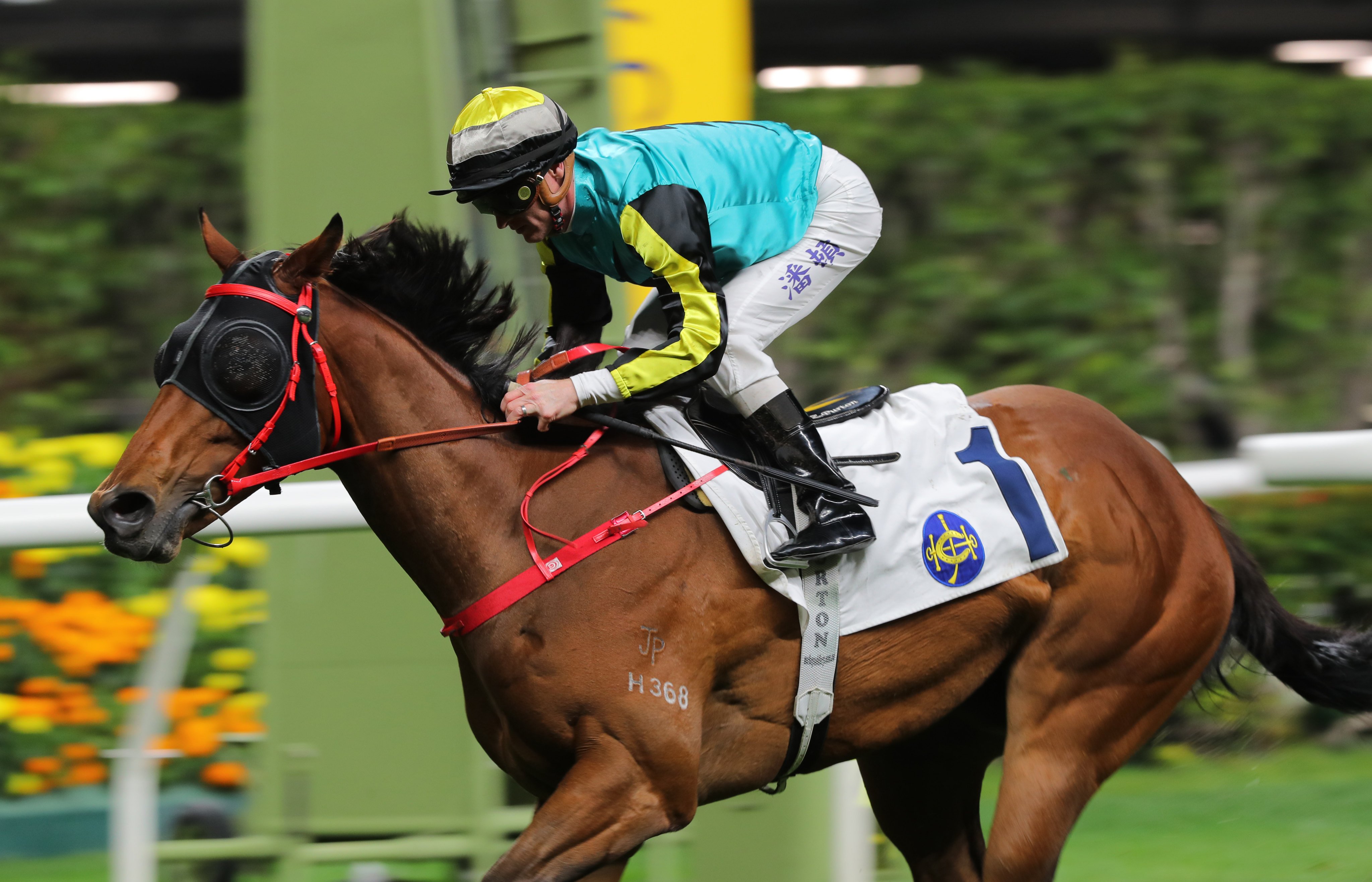 Raging Blizzard records consecutive Happy Valley wins under Zac Purton last month. Photo: Kenneth Chan