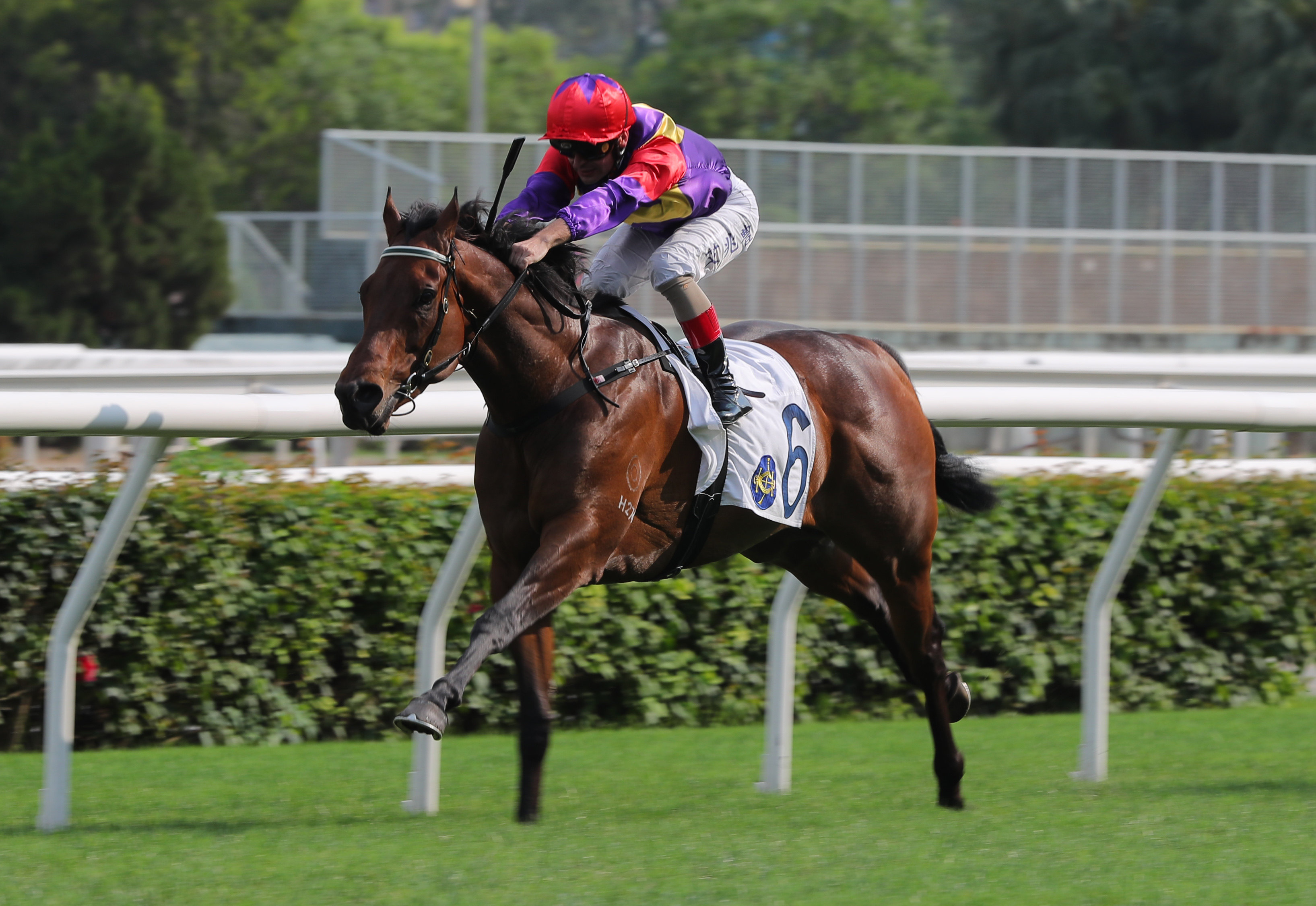 Lucky Encounter bursts clear to win under Andrea Atzeni. Photos: Kenneth Chan