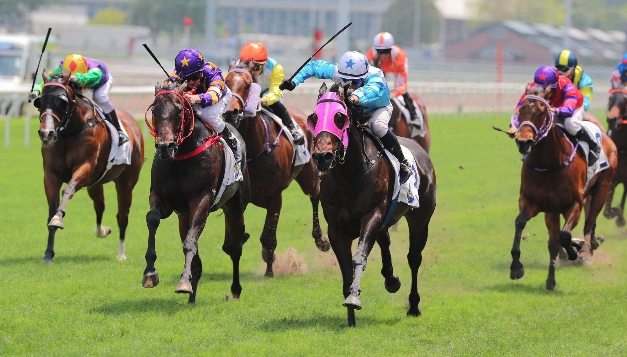 Baby Crystal and Vincent Ho (blue and white colours) fend off Zac Purton and Stellar Express on Sunday.